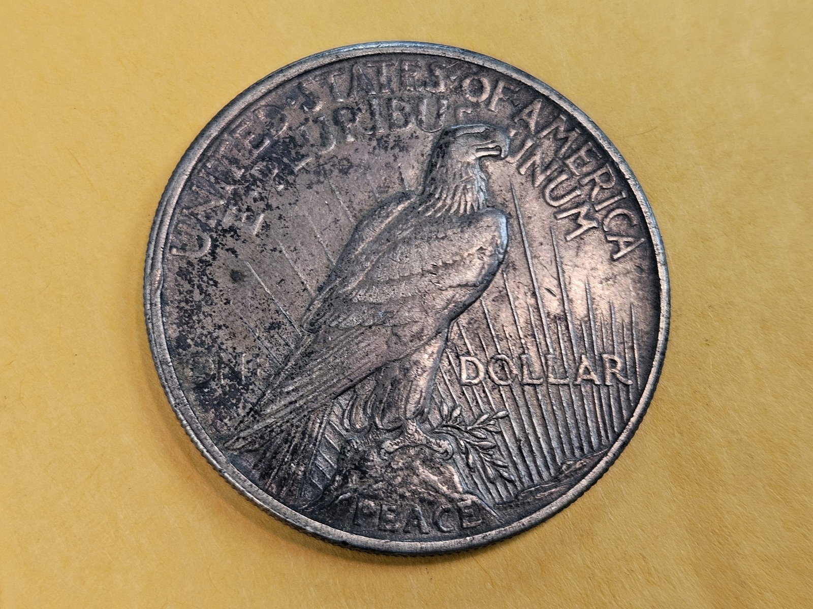 ** KEY DATE ** 1921 Peace Silver Dollar in Extra fine plus - 4