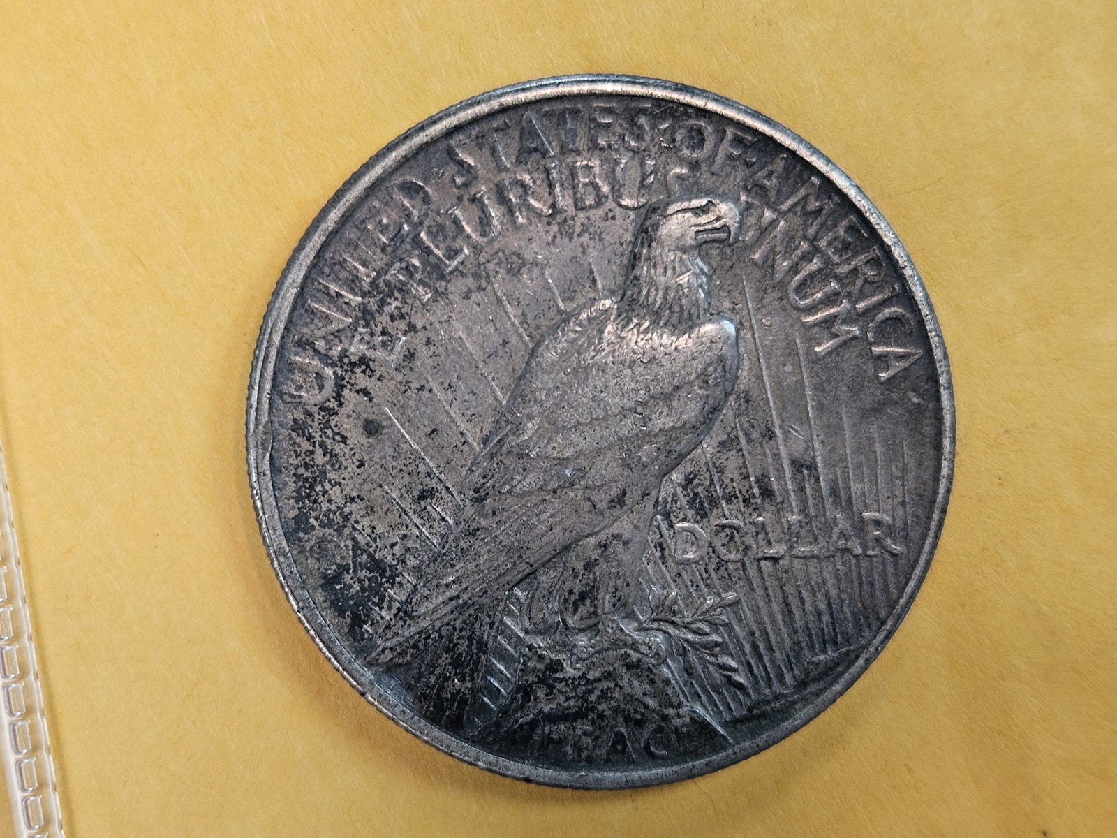 ** KEY DATE ** 1921 Peace Silver Dollar in Extra fine plus - 5