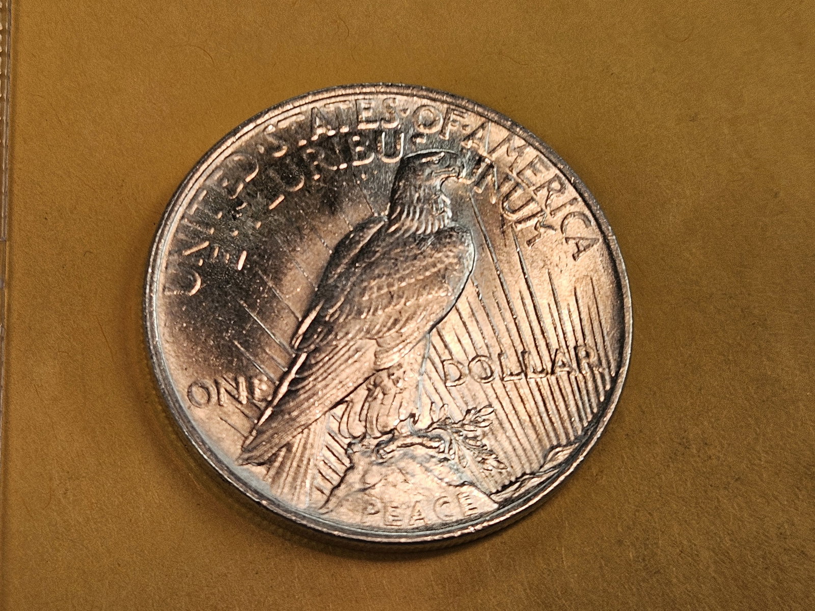 Very Choice to GEM Brilliant Uncirculated 1924 Peace Dollar - 7