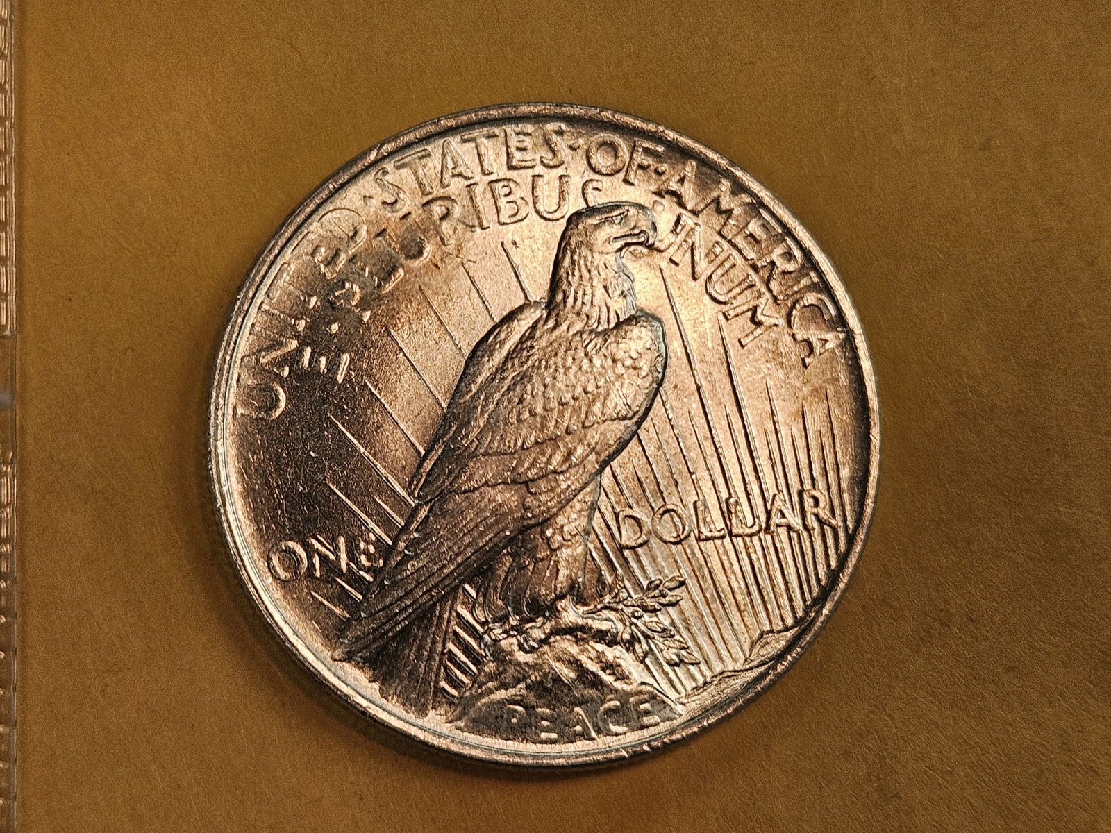 Very Choice to GEM Brilliant Uncirculated 1924 Peace Dollar - 8