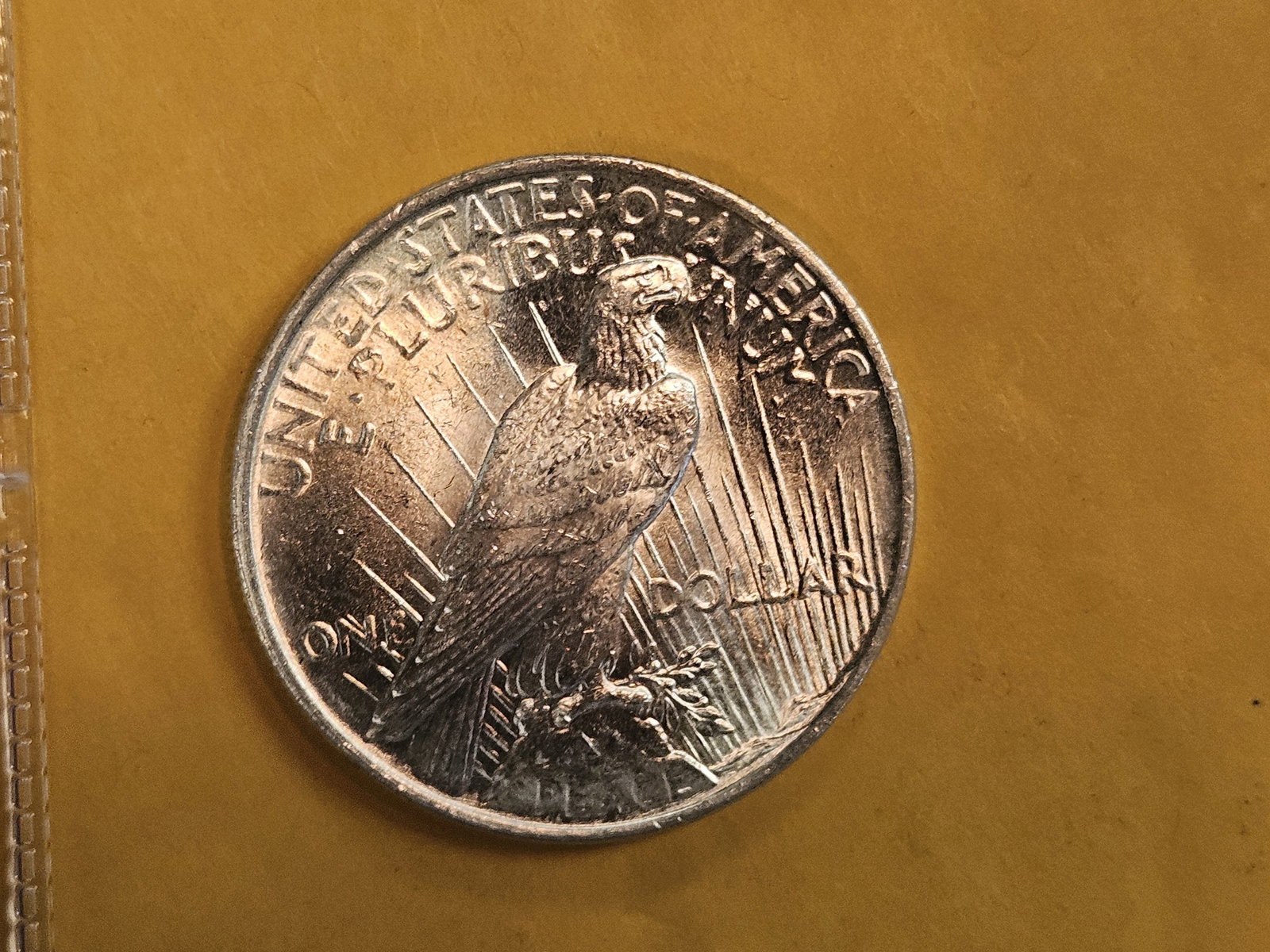 Very Choice to GEM Brilliant Uncirculated 1924 Peace Dollar - 9