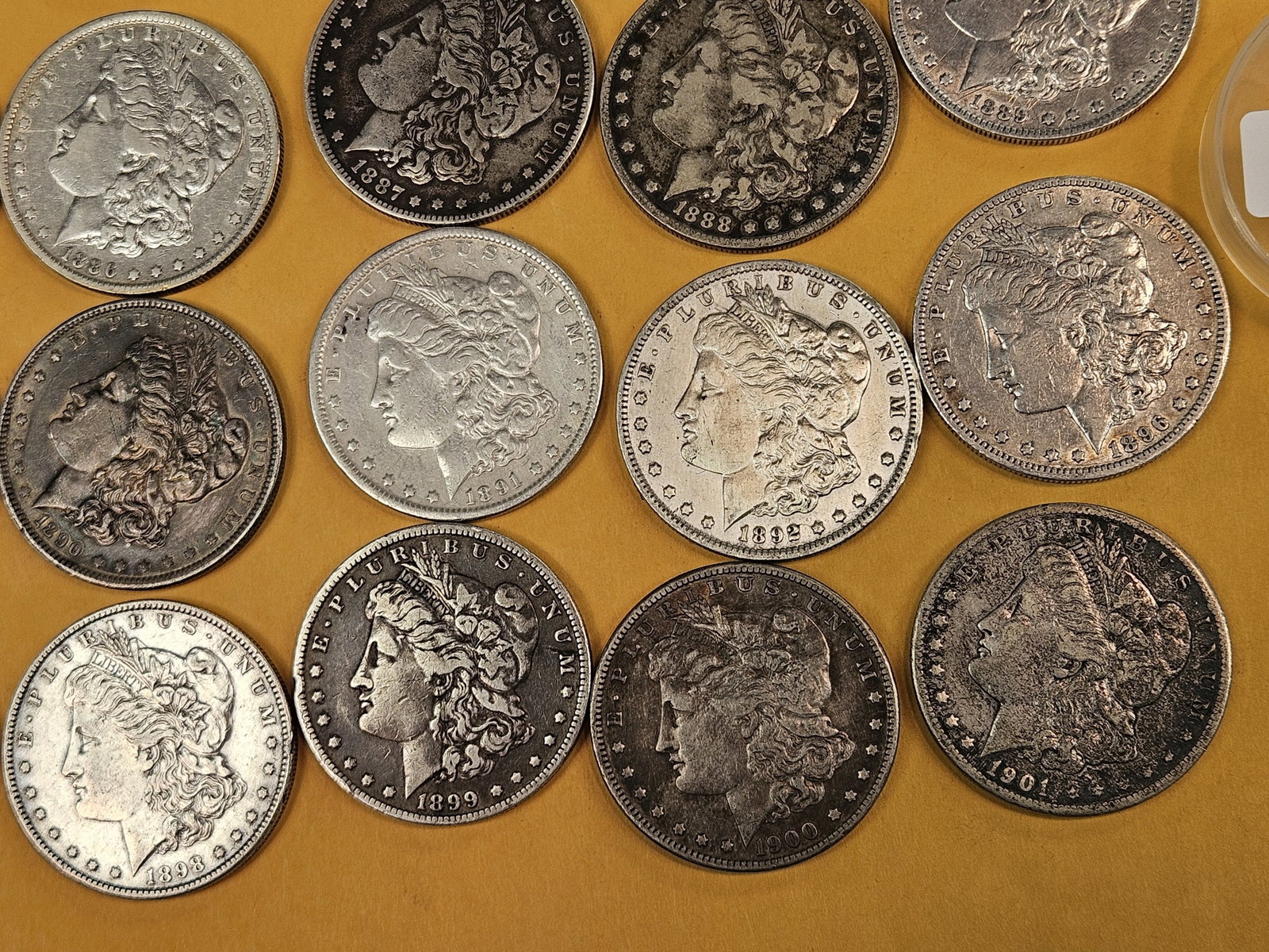 ** FULL ROLL ** Twenty Morgan Silver Dollars - 5