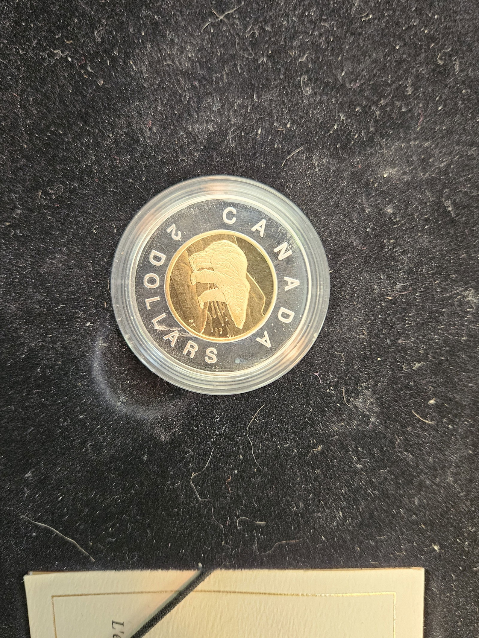 GEM! 1996 Canada Gem Proof $2 Piedfort and Bank Notes Set - 3