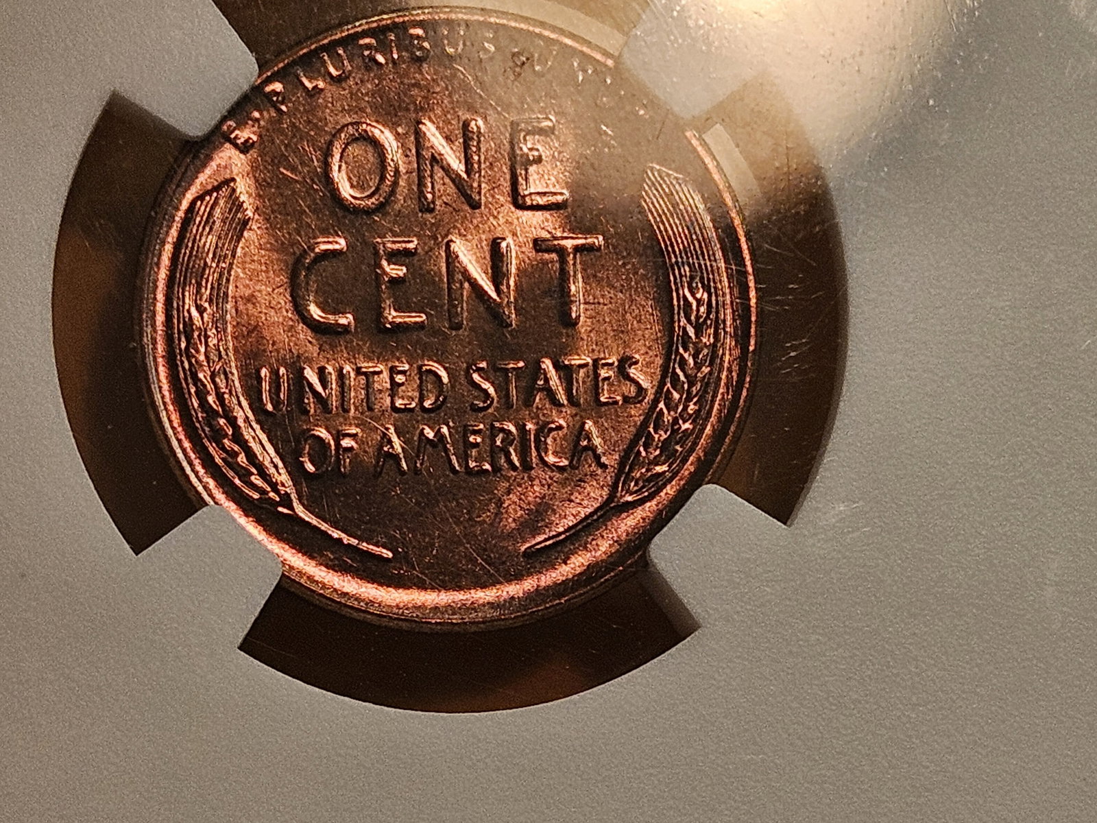 GEM! NGC 1939-S Wheat Cent in Mint State 65 RED - 5