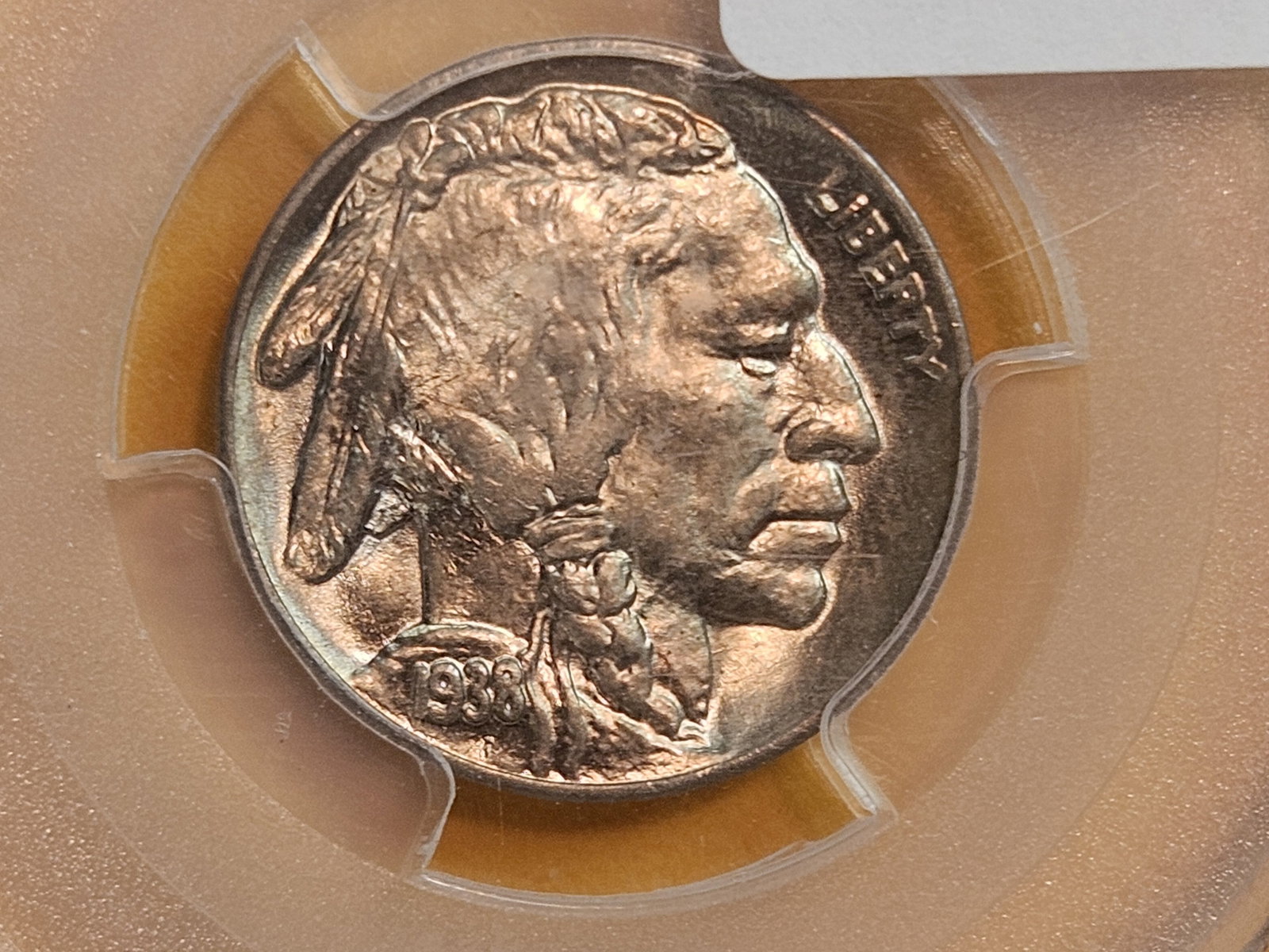 PCGS 1938-D Buffalo Nickel in Mint State 64: Good luster