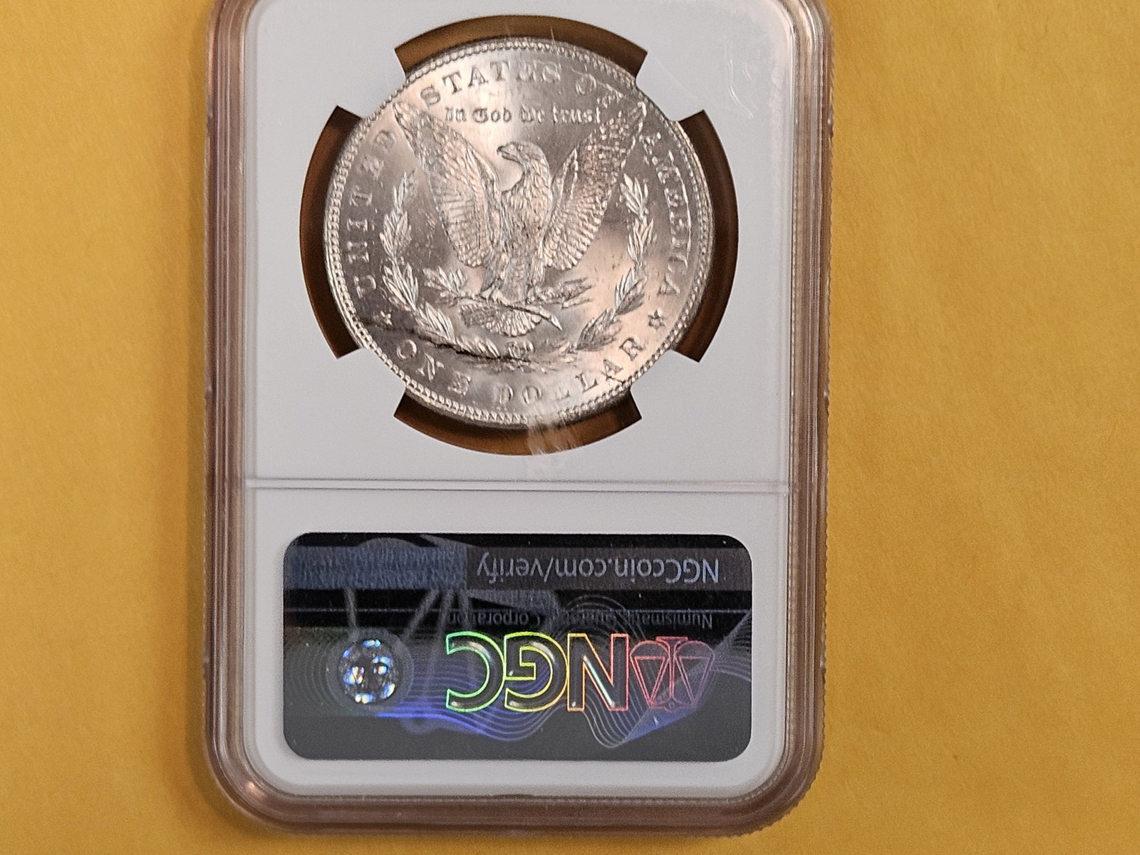 NGC 1887 Morgan Dollar in Mint State 63 - 3