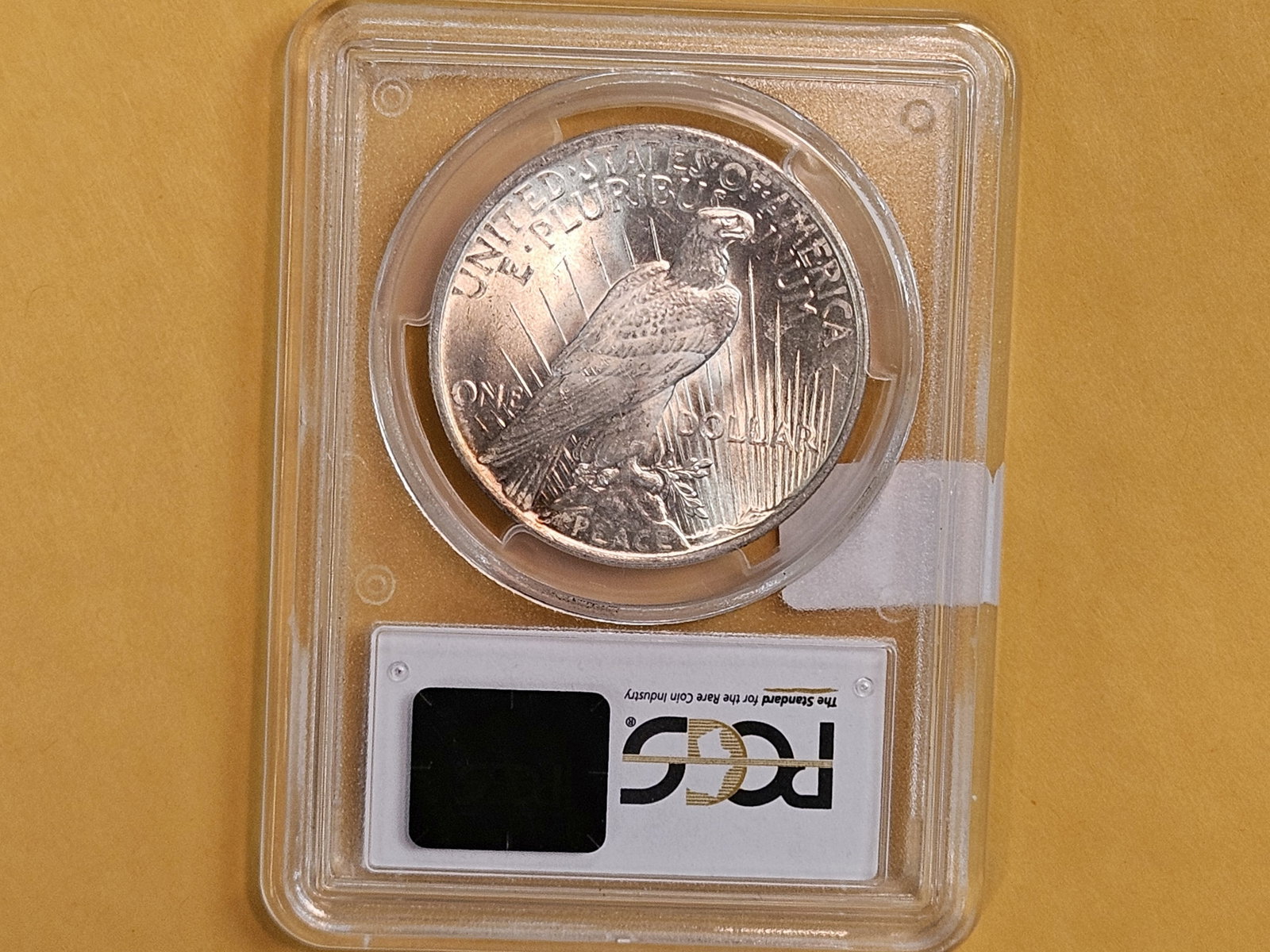 PCGS 1923 Peace Silver Dollar in Mint State 64 - 3