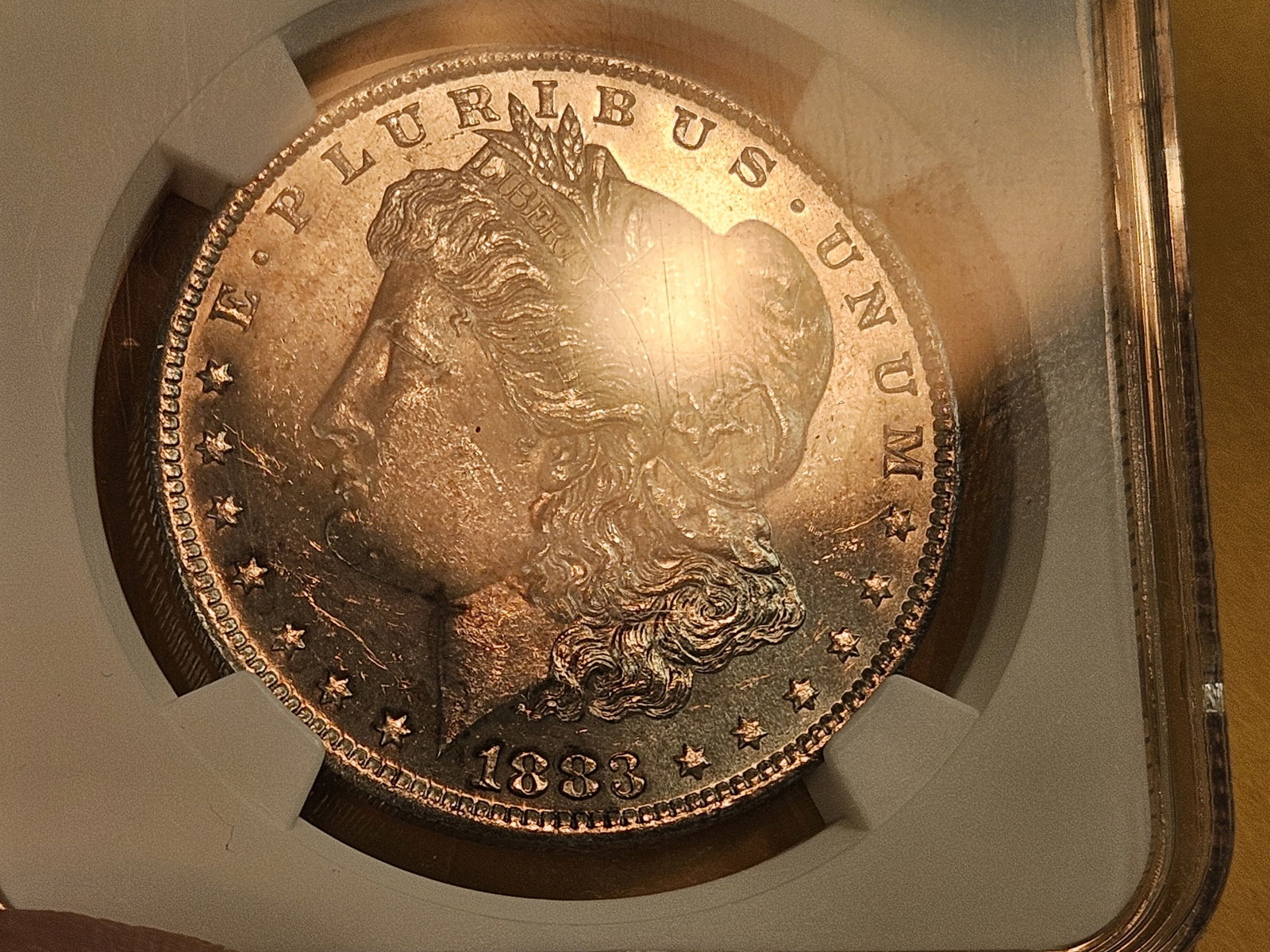 NGC 1883-O Morgan Dollar in Mint State 63 - 4