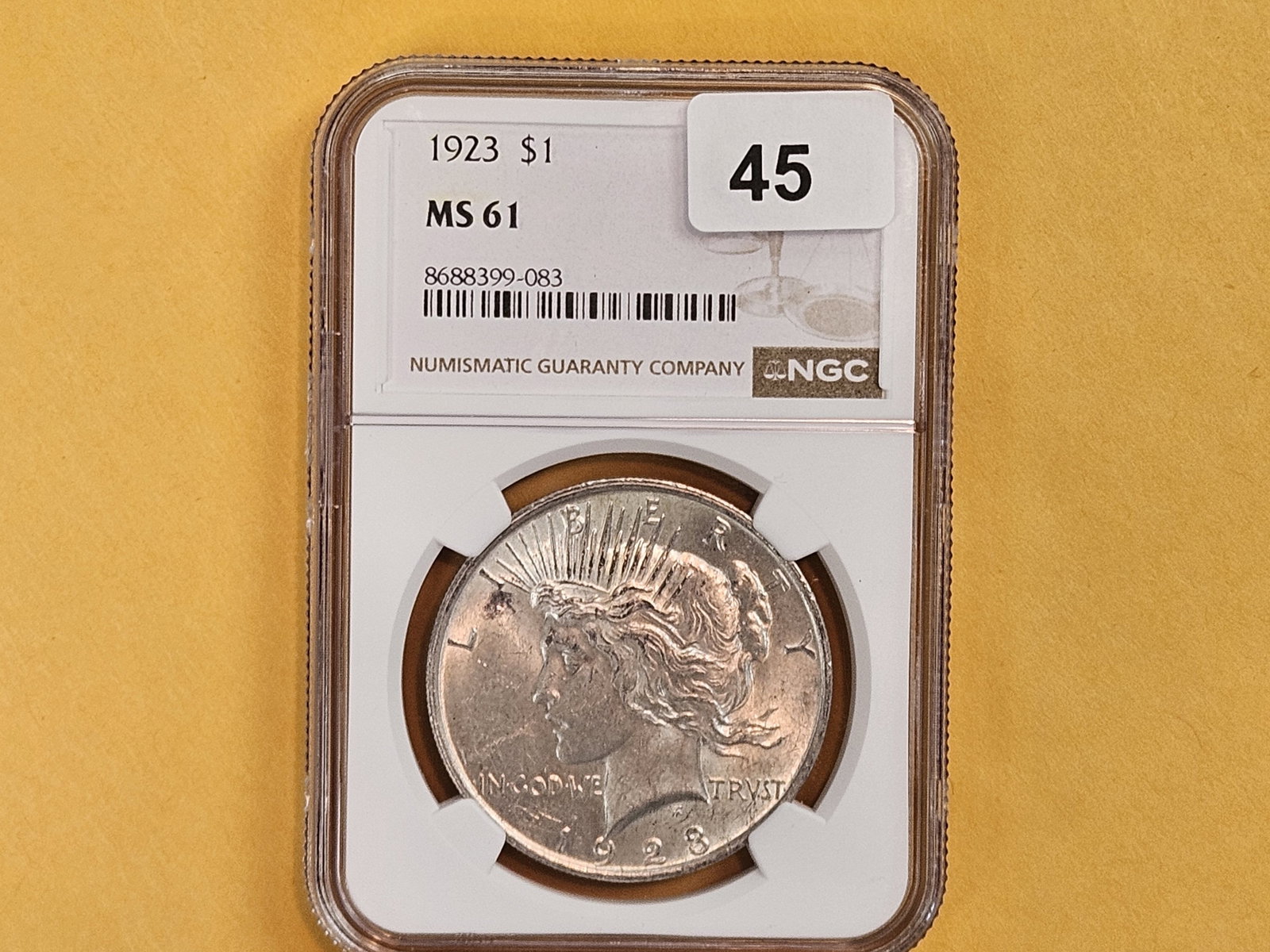NGC 1923 Peace Silver Dollar in Mint State 61 - 2
