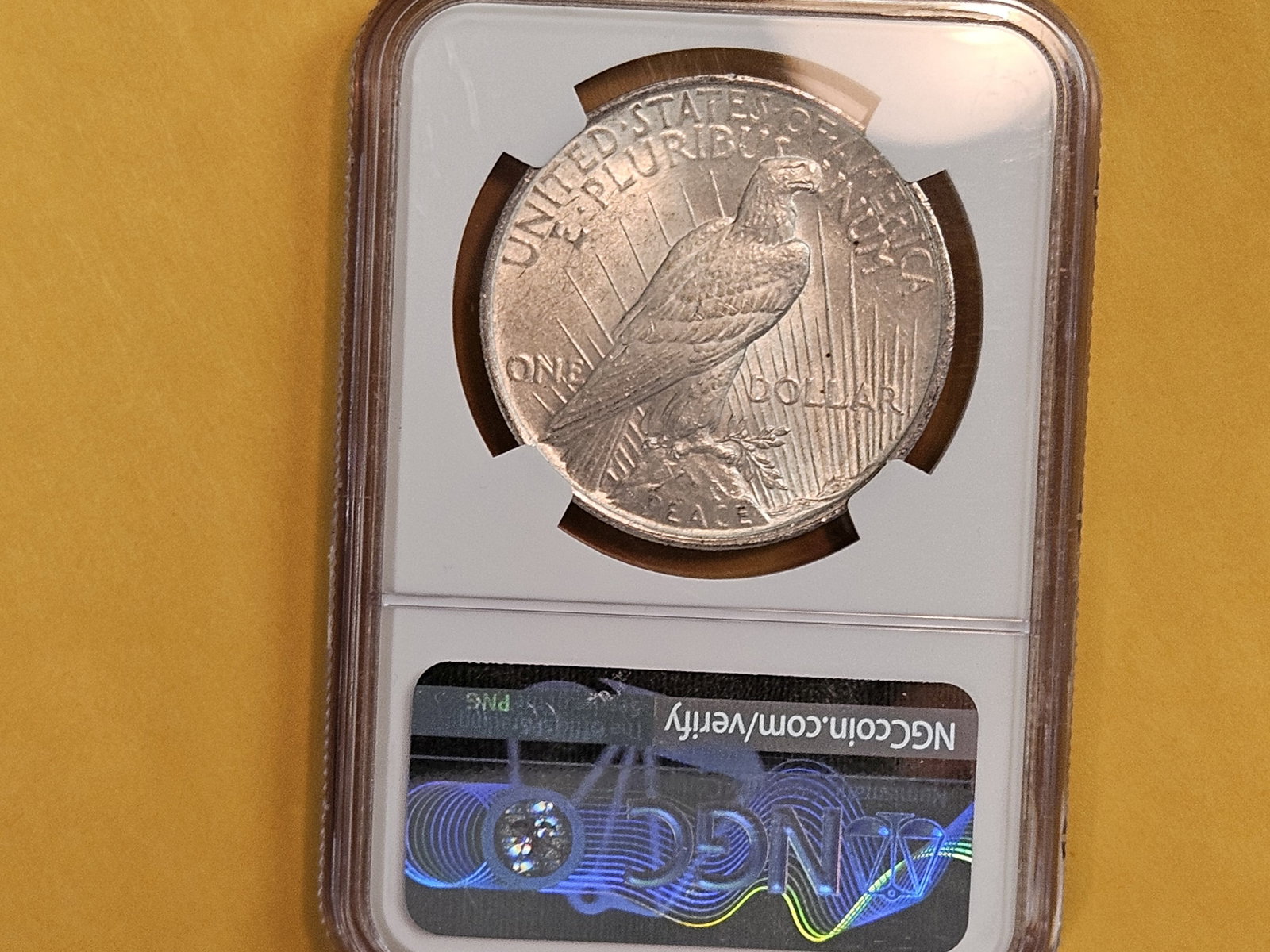 NGC 1923 Peace Silver Dollar in Mint State 61 - 3