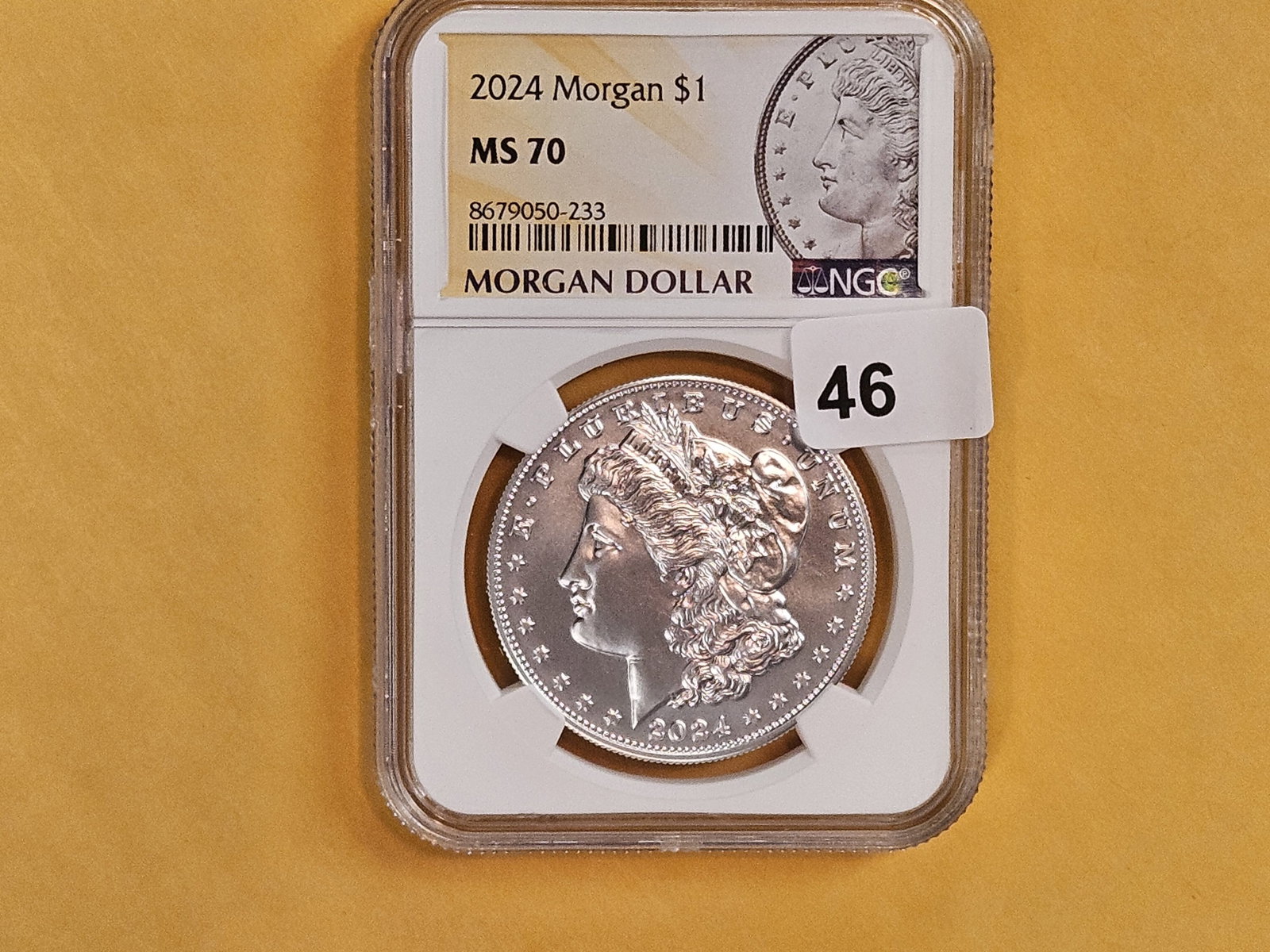 PERFECT! NGC 2024 Morgan Silver Dollar in Mint State 70 - 2