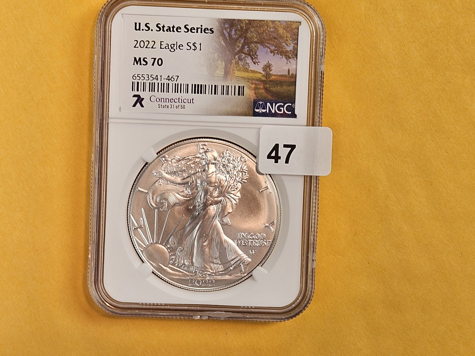 PERFECT! NGC 2022 American Silver Eagle in Mint State 70: Perfect Grade!