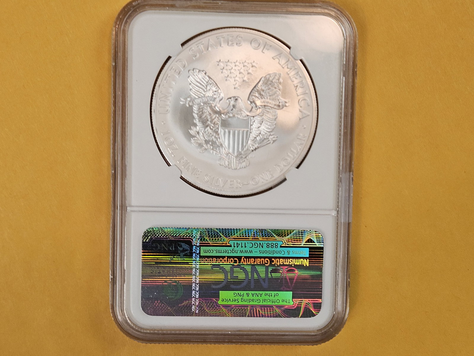 PERFECT! NGC 2013 American Silver Eagle in Mint State 70 - 2
