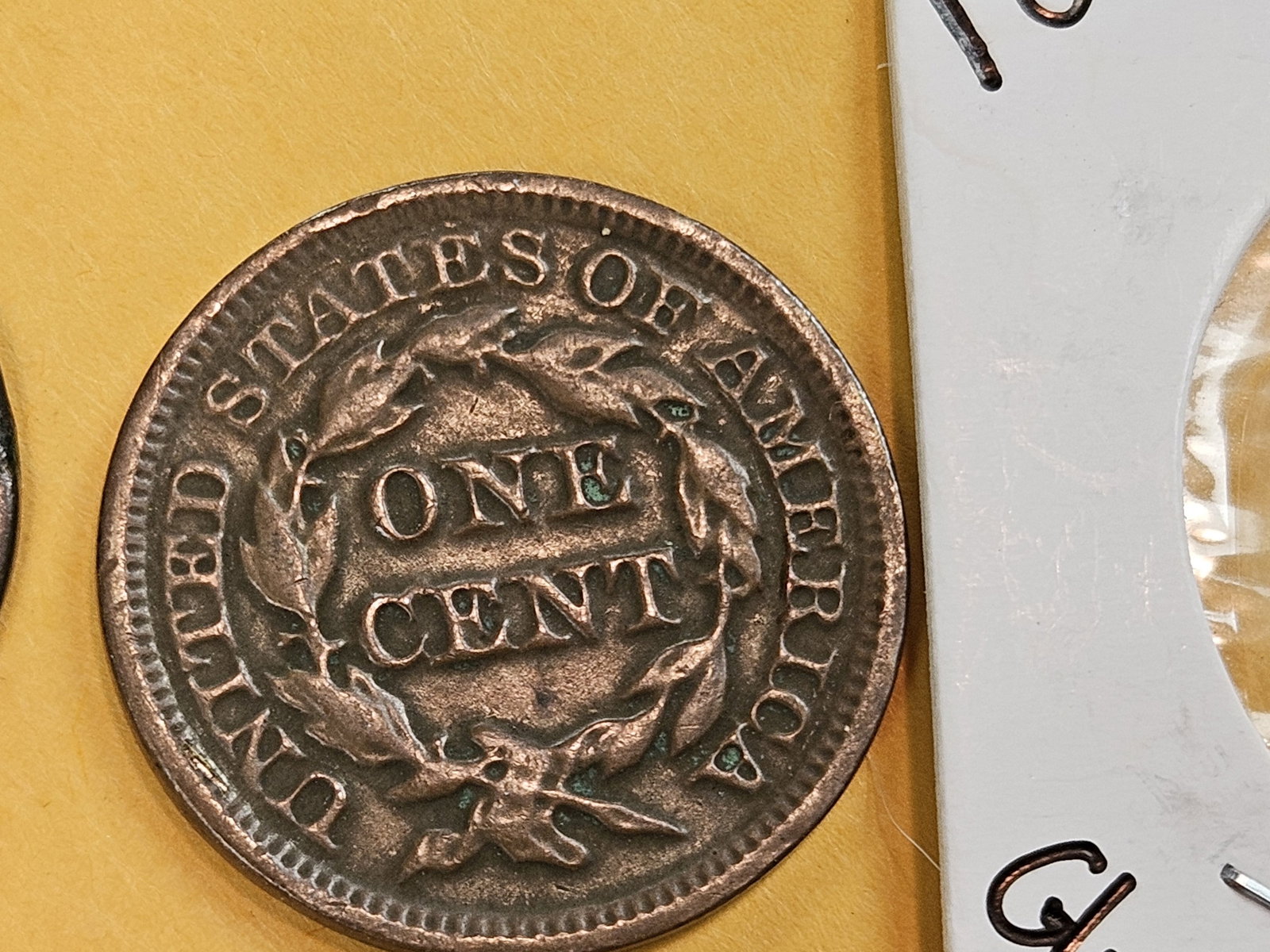 Draped Bust and Braided Hair Large Cents - 6