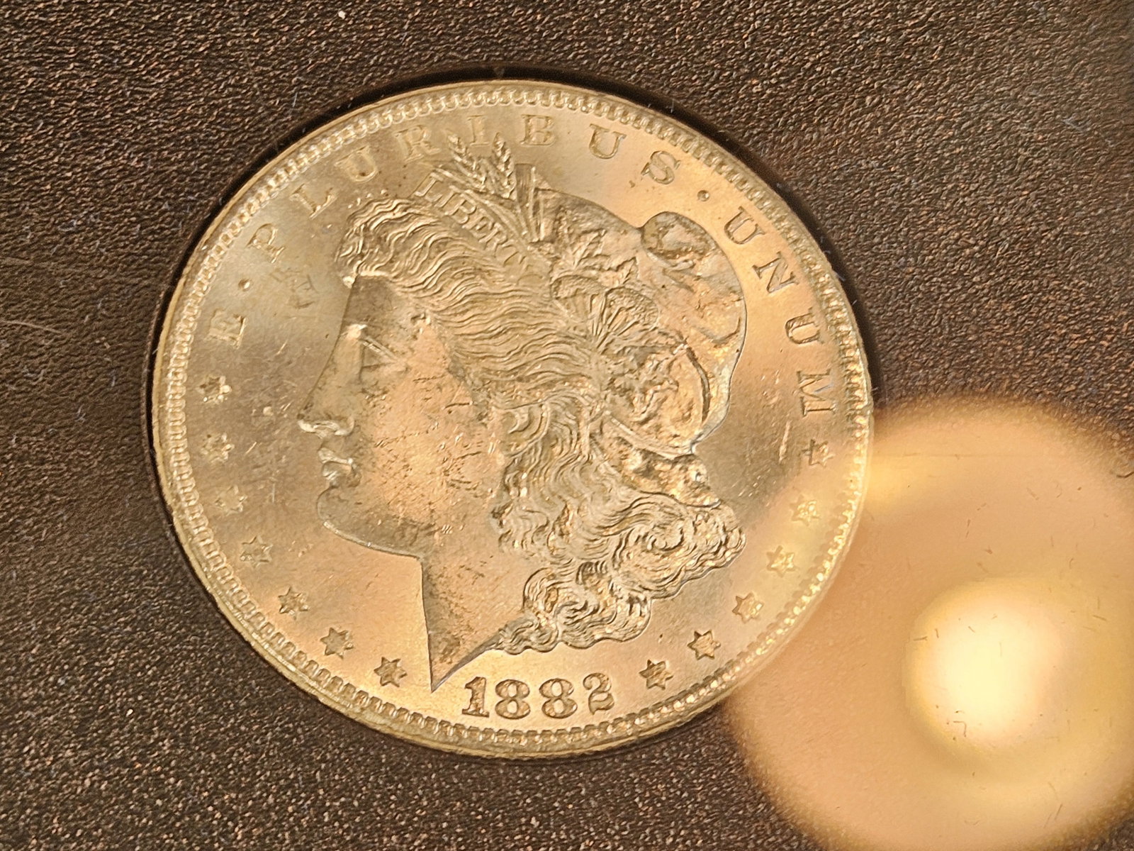 ** KEY DATE ** GSA 1882-CC Morgan Dollar in Choice Brilliant Uncirculated - 5