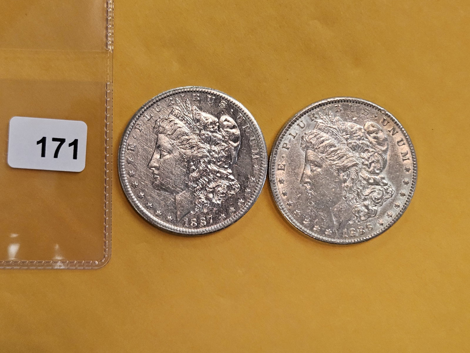Two Brilliant About Uncirculated Morgan silver Dollars - 2
