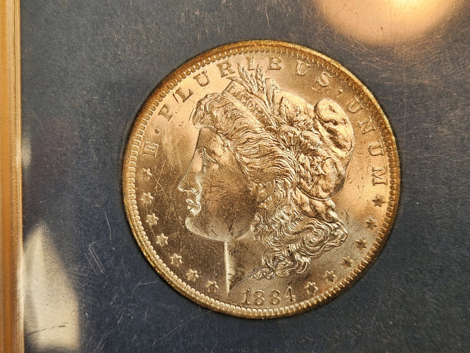 Choice Brilliant Uncirculated plus 1884-O Morgan Dollar: In nice Capital plastics holder