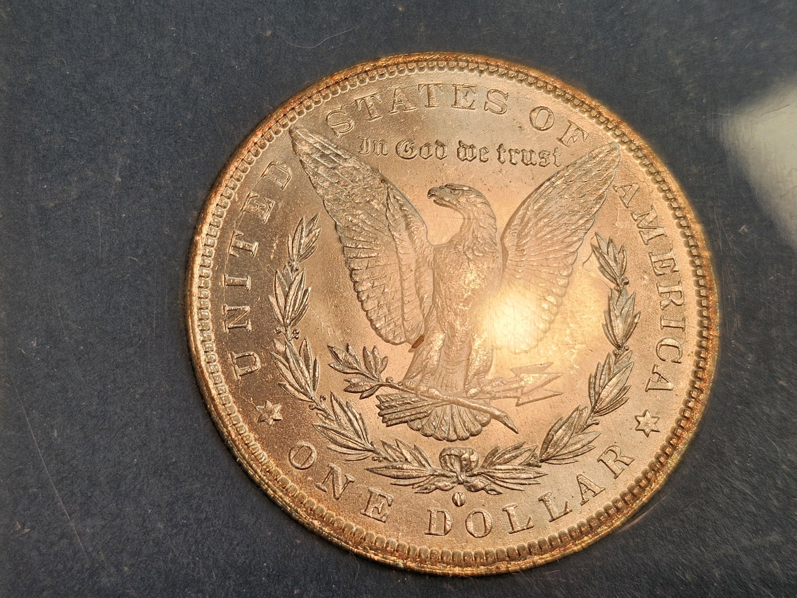 Choice Brilliant Uncirculated plus 1884-O Morgan Dollar - 6