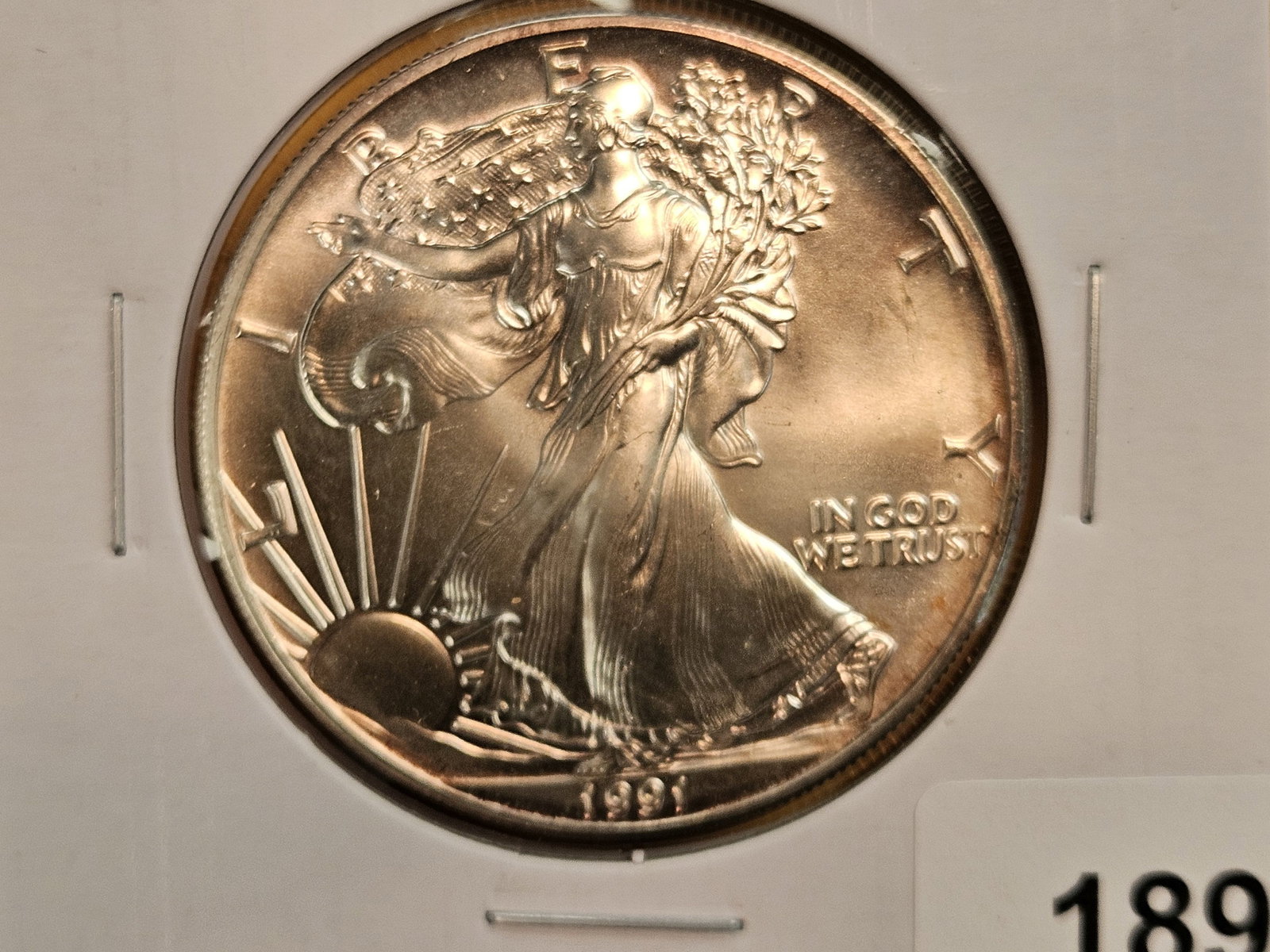 GEM Brilliant Uncirculated 1991 American silver Eagle: Nice patina