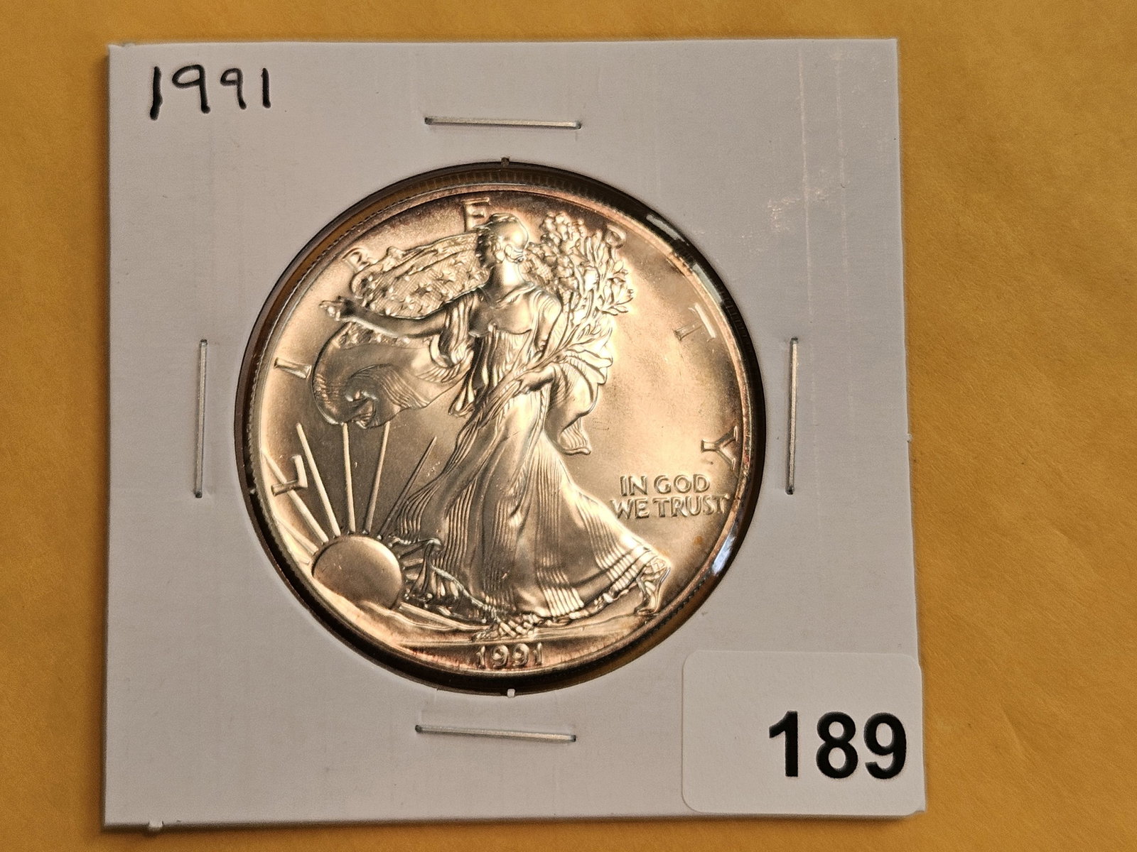 GEM Brilliant Uncirculated 1991 American silver Eagle - 2