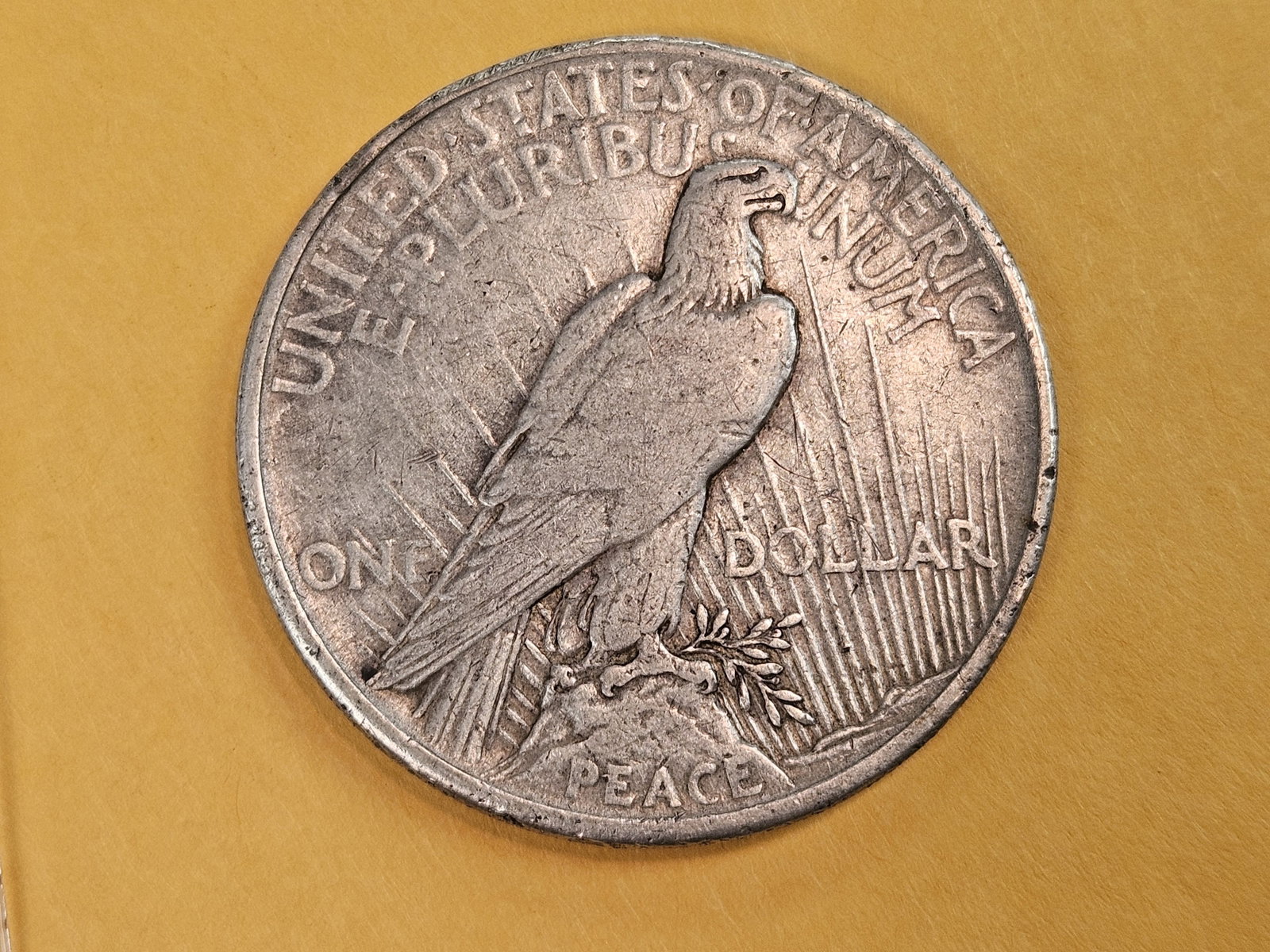 ** KEY DATE ** 1921 Peace silver Dollar in Extra Fine - 4
