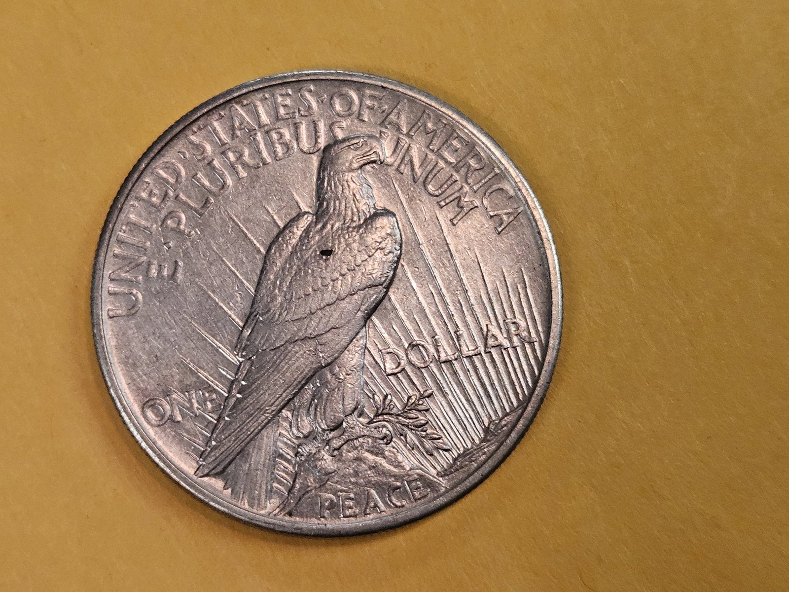 ** KEY DATE ** 1921 Peace silver Dollar in About Uncirculated - 3