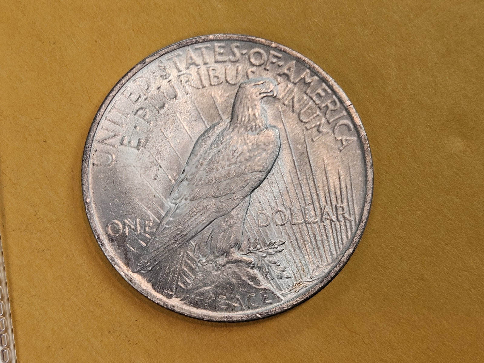 Brilliant Uncirculated Plus 1923 Peace silver Dollar - 3