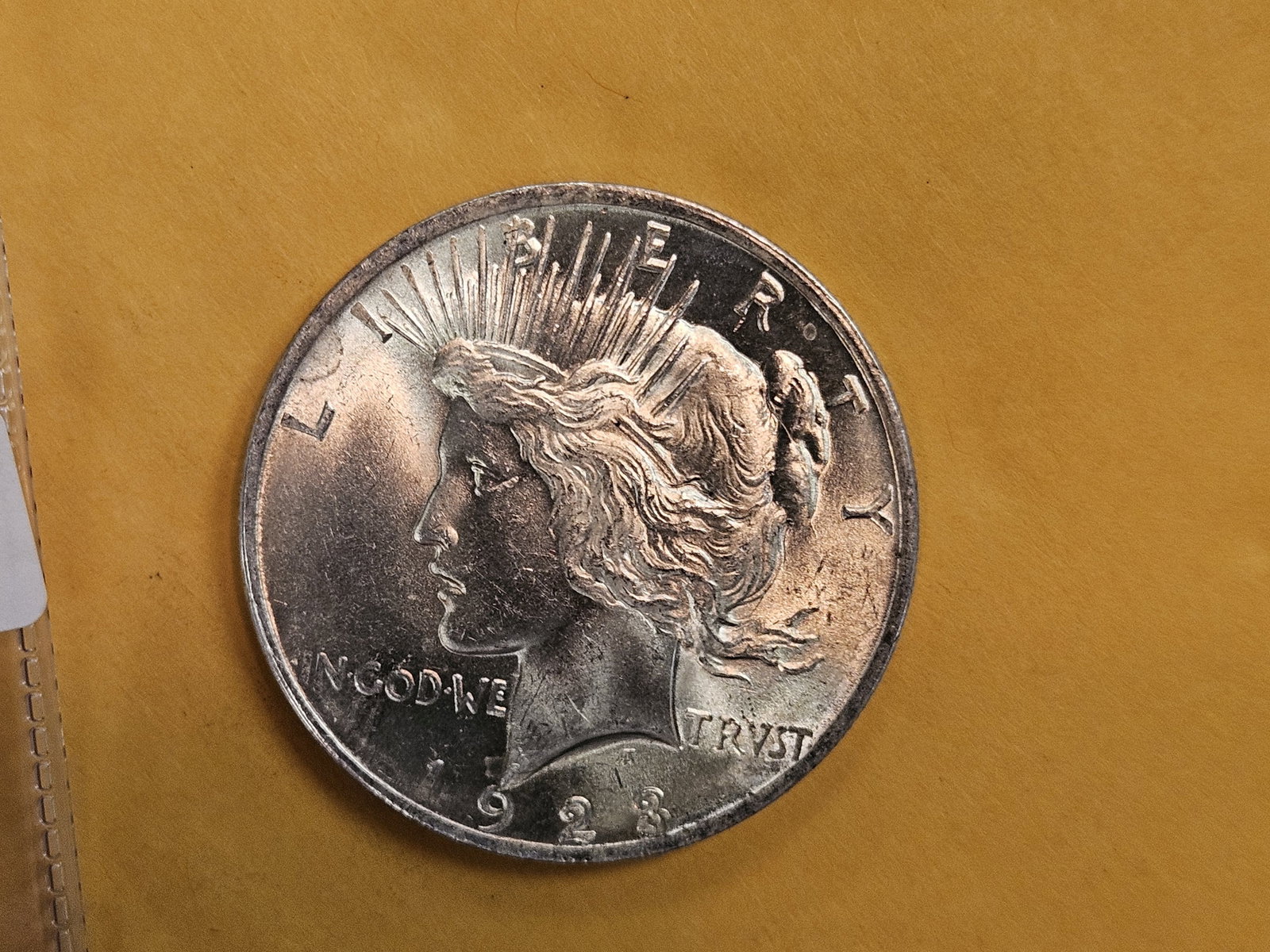 Choice Brilliant Uncirculated Plus 1923 Peace silver Dollar: Deep contrast