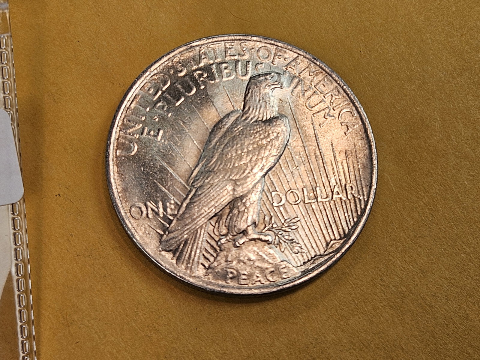 Choice Brilliant Uncirculated Plus 1923 Peace silver Dollar - 3