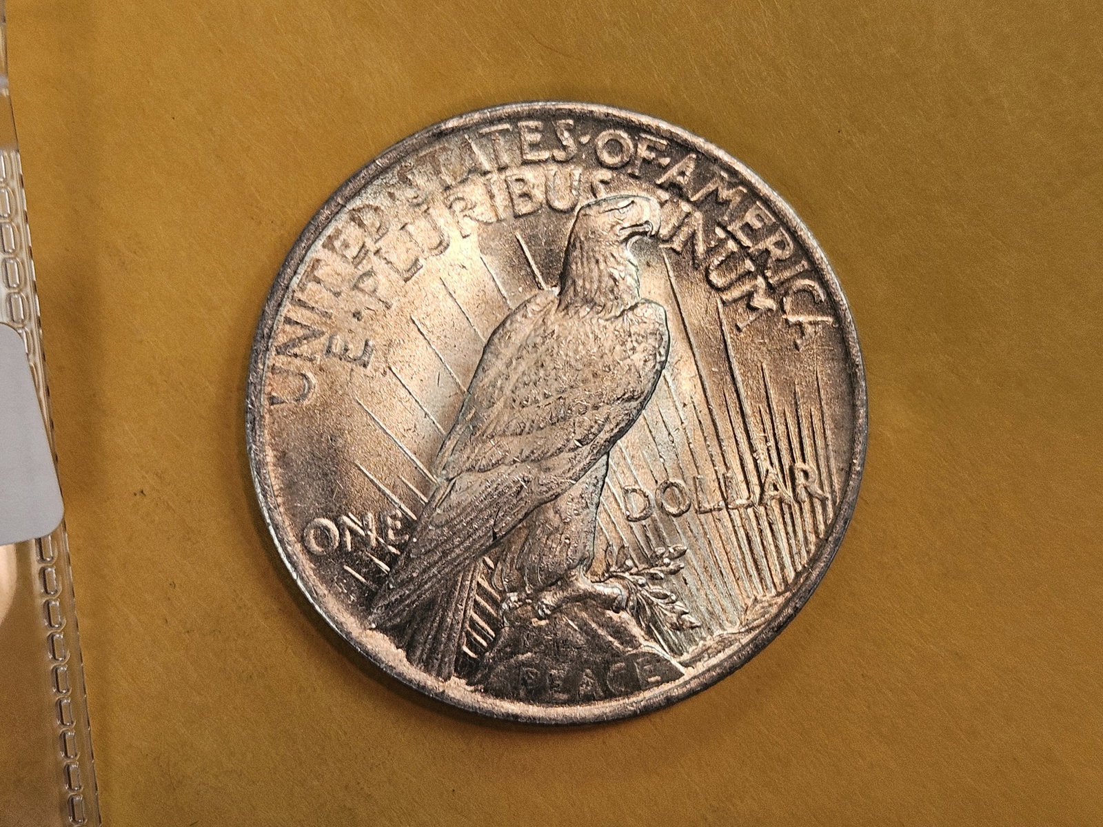 Choice Brilliant Uncirculated Plus 1923 Peace silver Dollar - 4