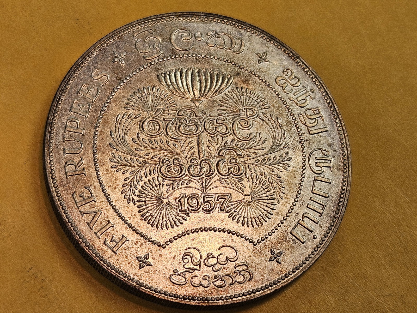 Gem Brilliant Uncirculated Sri Lanka silver 5 rupees - 3