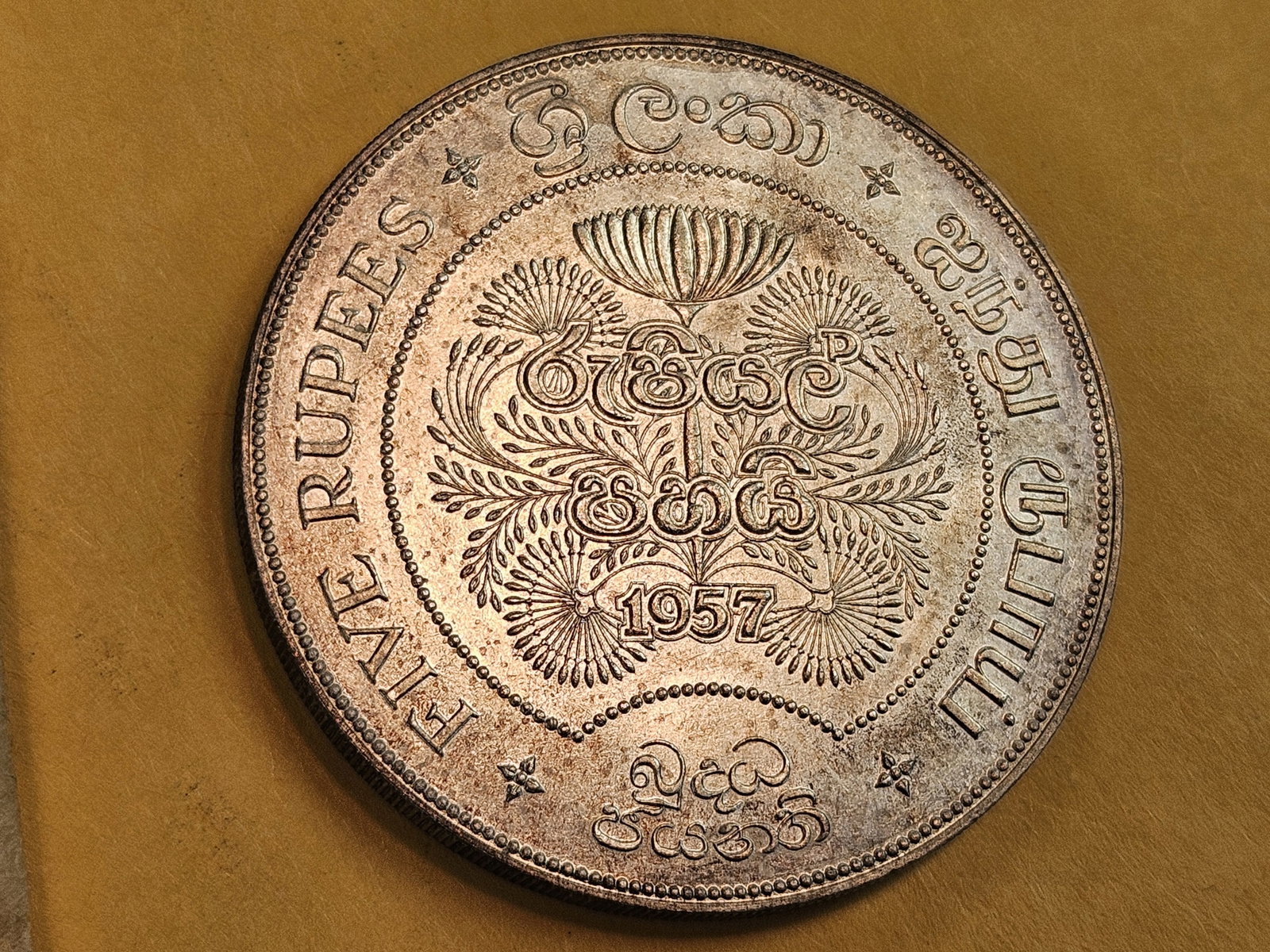 Gem Brilliant Uncirculated Sri Lanka silver 5 rupees - 4