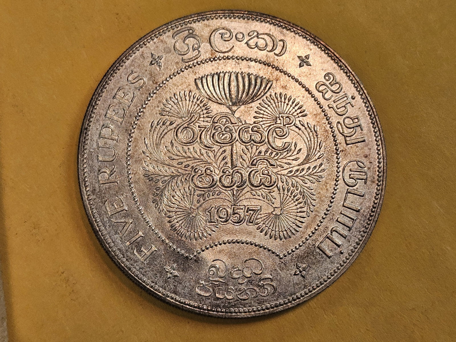Gem Brilliant Uncirculated Sri Lanka silver 5 rupees - 5