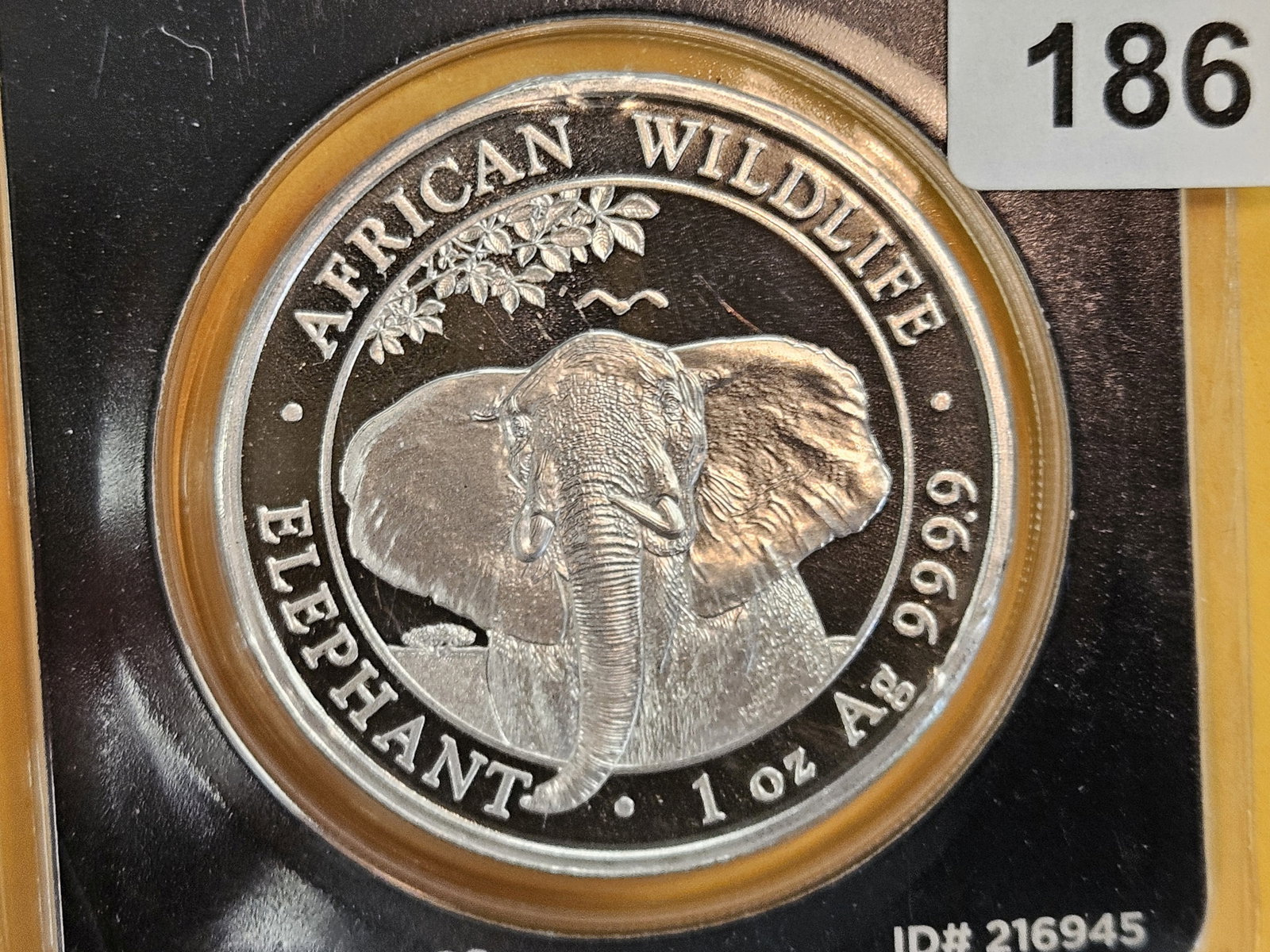 GEM 2020 Somali Republic silver 100 shillings: Elephant. In hard plastic APMEX holder