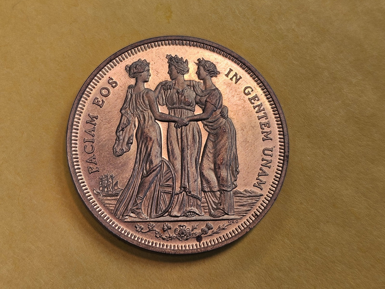 GEM 1879 Victoria Dei Gratia Medal - 5