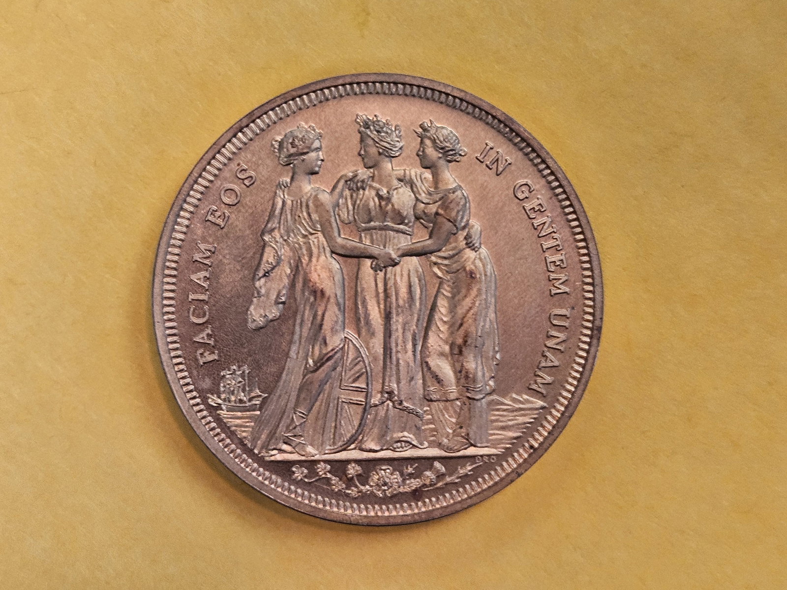 GEM 1879 Victoria Dei Gratia Medal - 6