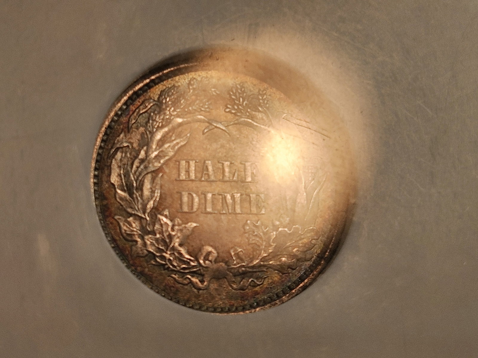 ** NGC 1860 Seated Liberty Half-Dime in Mint State 61 - 6