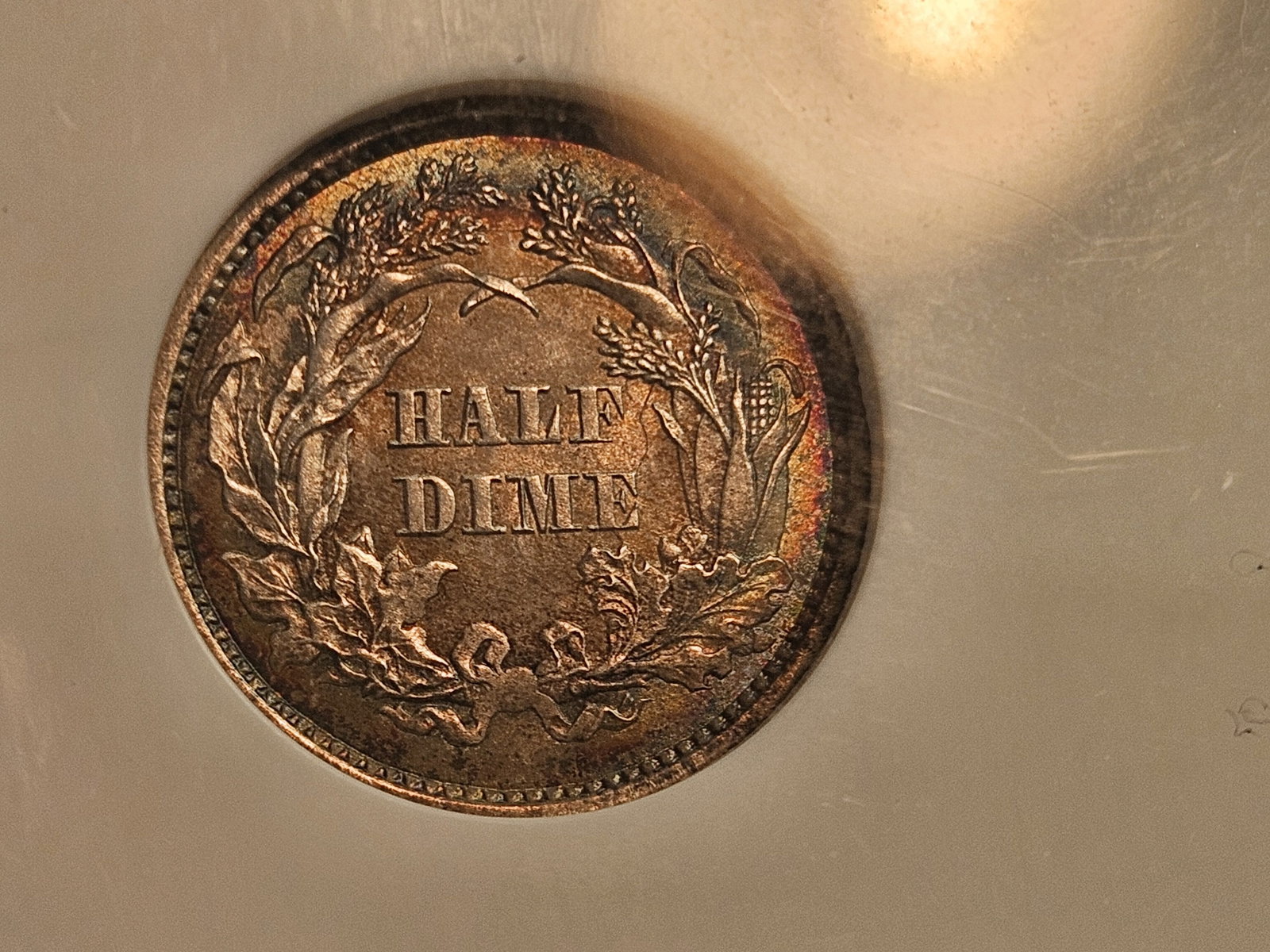 ** NGC 1860 Seated Liberty Half-Dime in Mint State 61 - 7