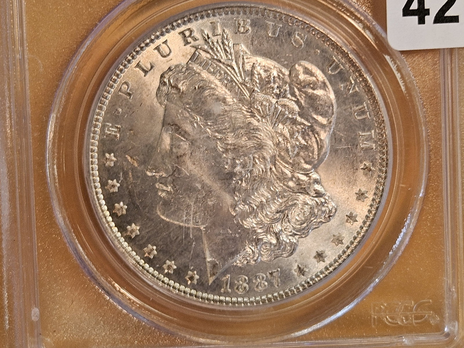 PCGS 1887 Morgan Dollar in Mint State 64: Nice
