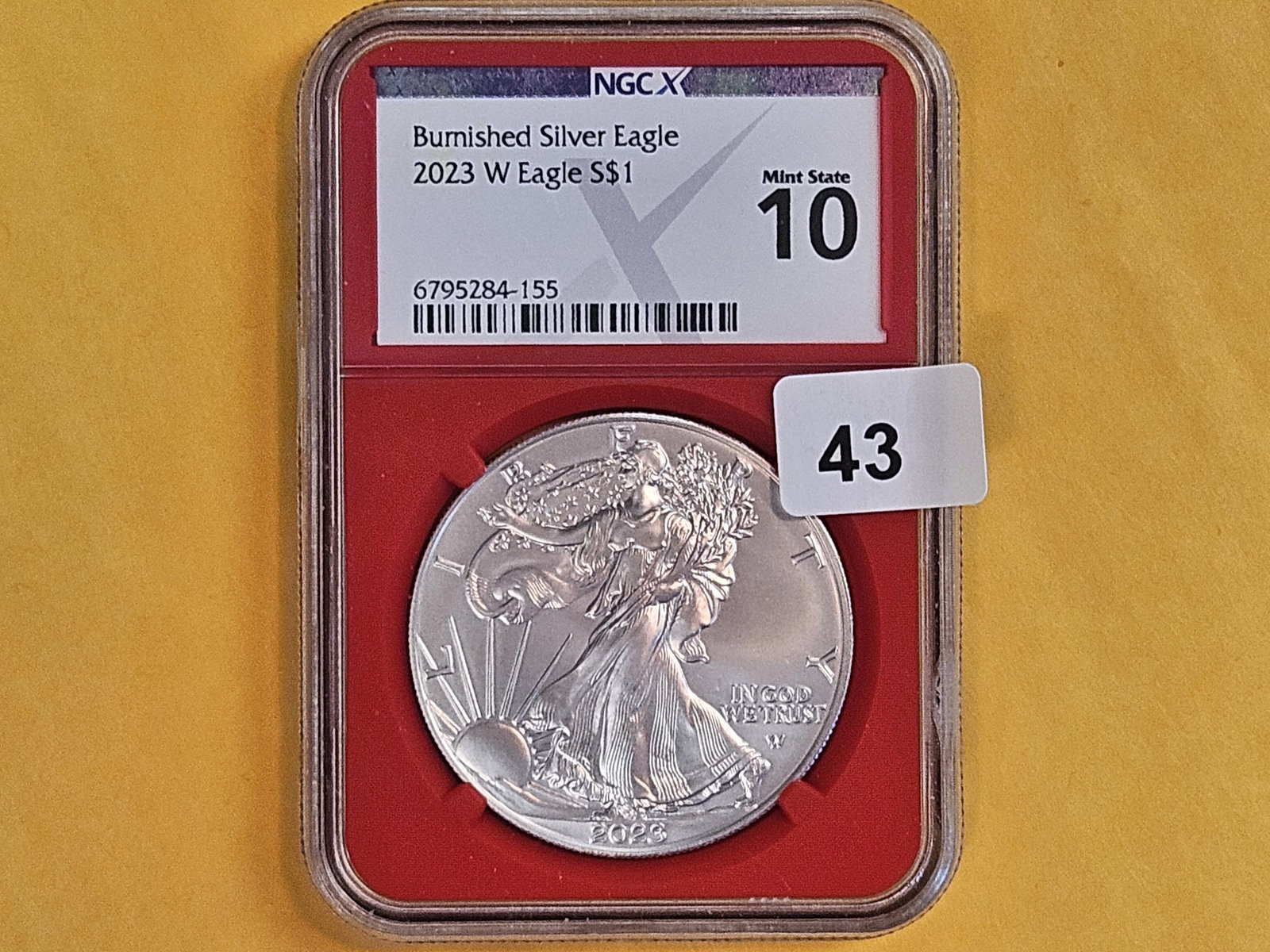 PERFECT! NGC-X 2023-W American Silver Eagle in Mint State 10: Perfect Grade