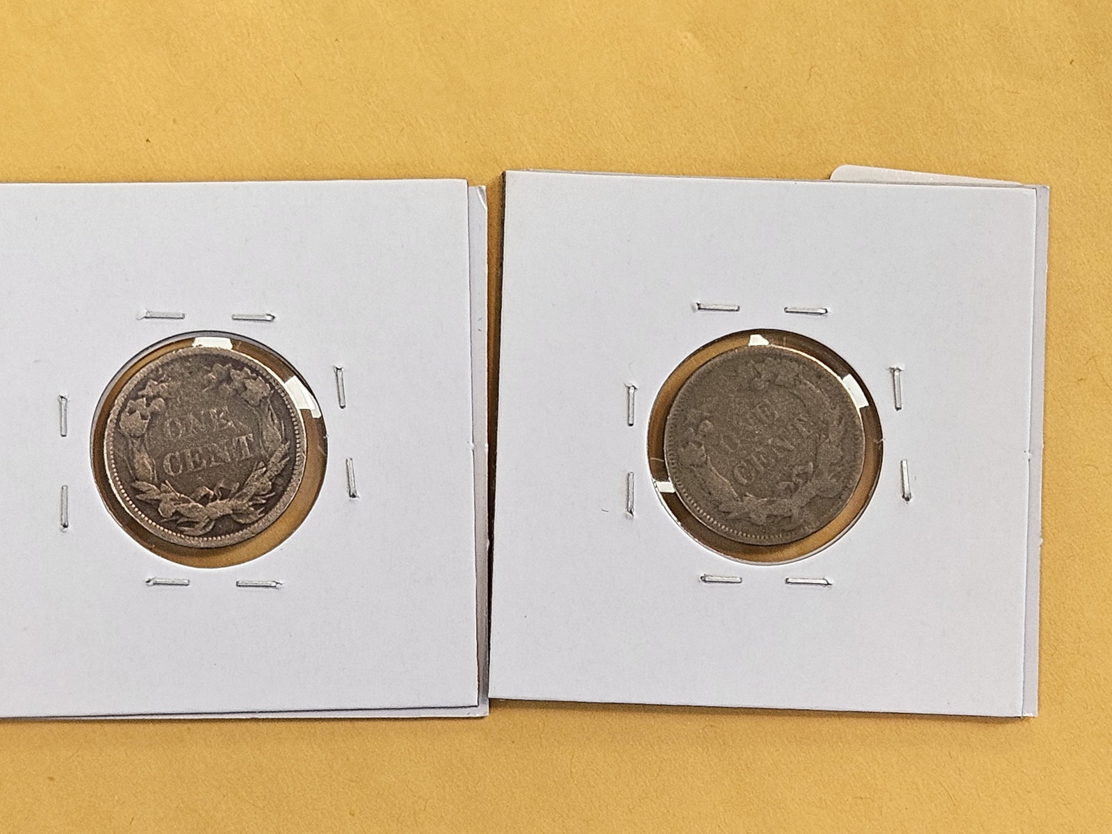 Two 1858 Flying eagle Cents - 2