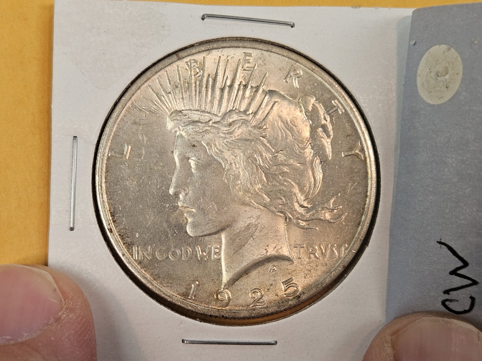 Choice Brilliant Uncirculated 1925 Peace Silver Dollar - 2