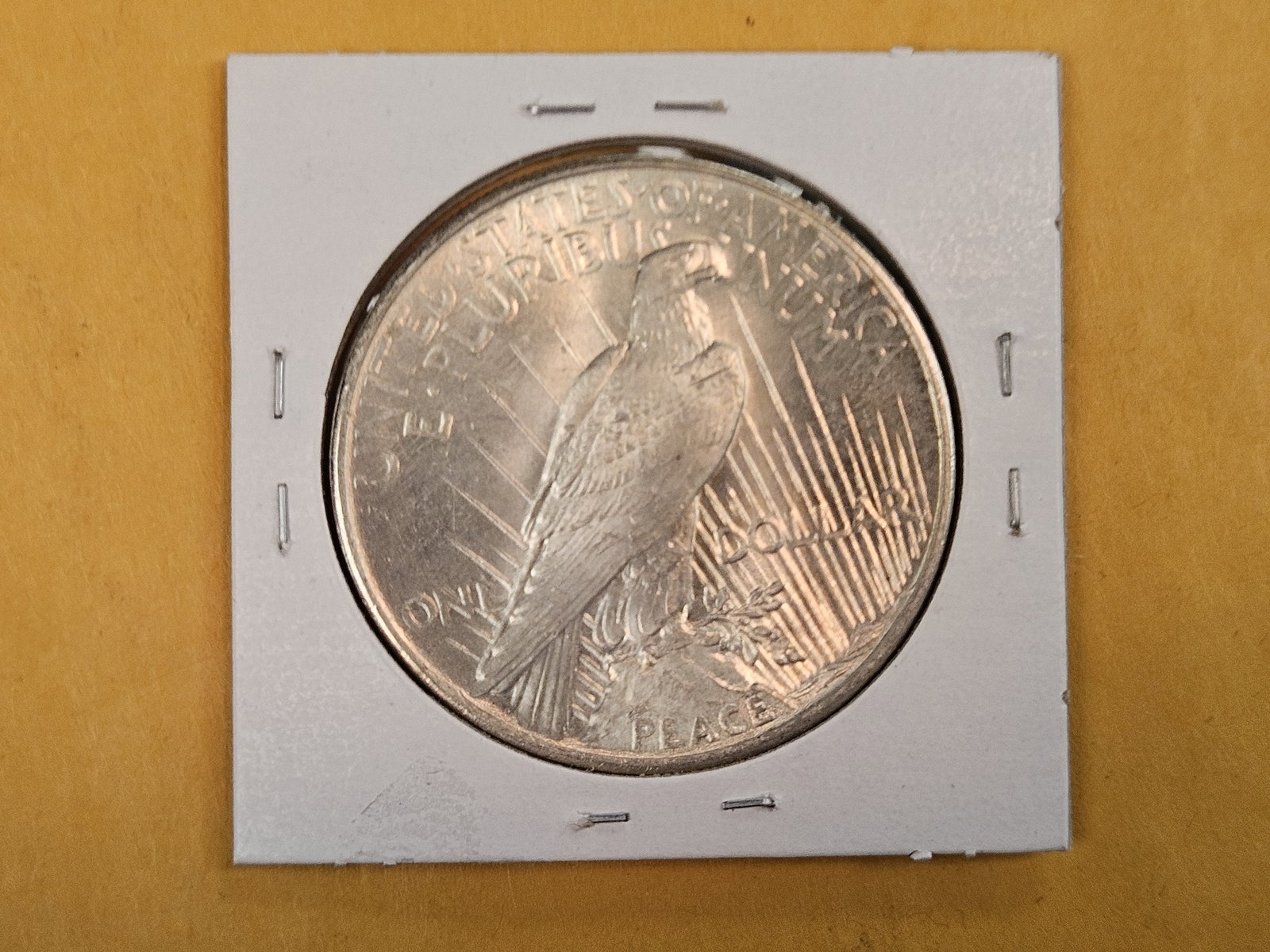 Choice Brilliant Uncirculated 1925 Peace Silver Dollar - 3