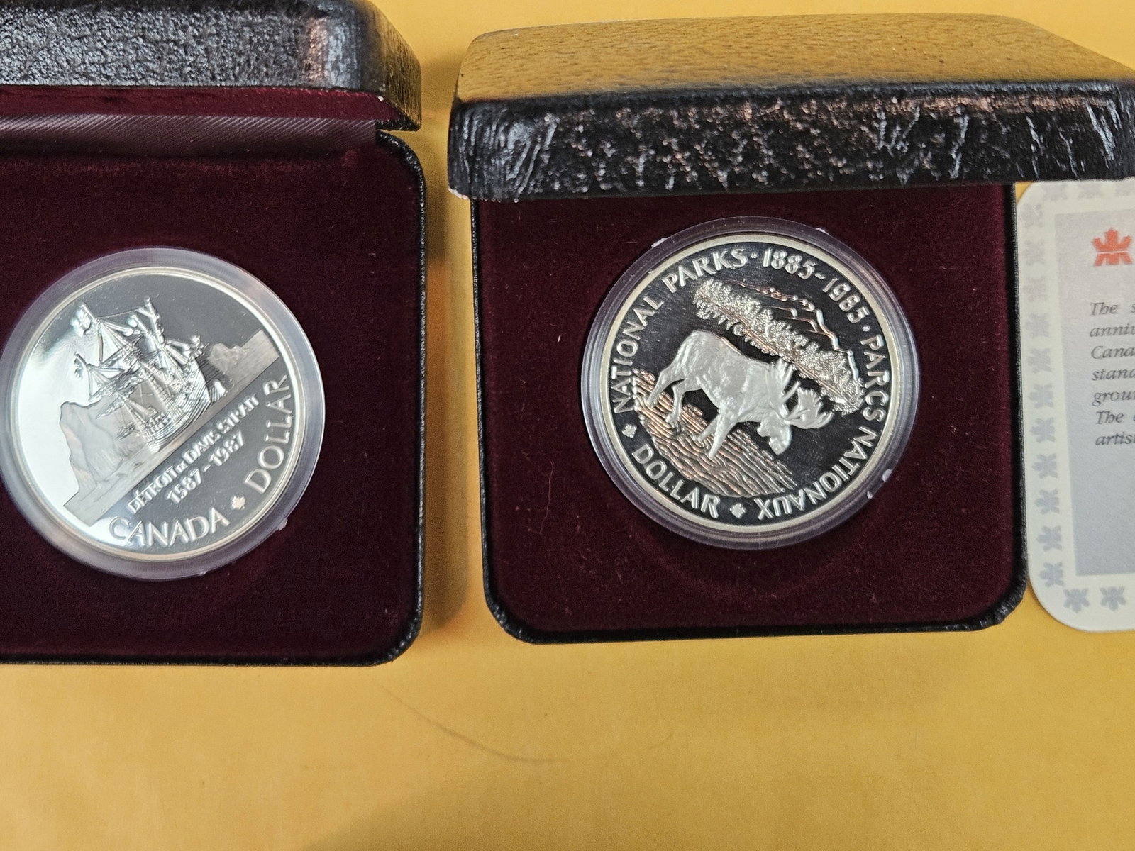 Five GEM Canadian Silver Dollars - 3