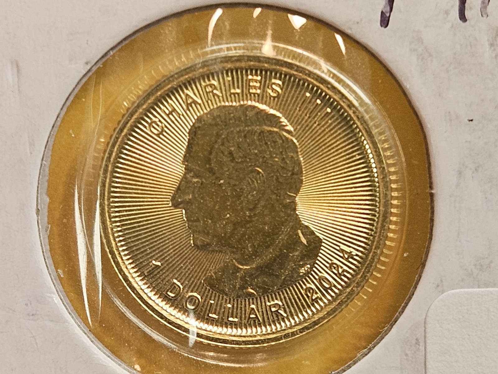 GOLD! GEM Brilliant Uncirculated 2024 Canada GOLD Dollar: Maple Leaf