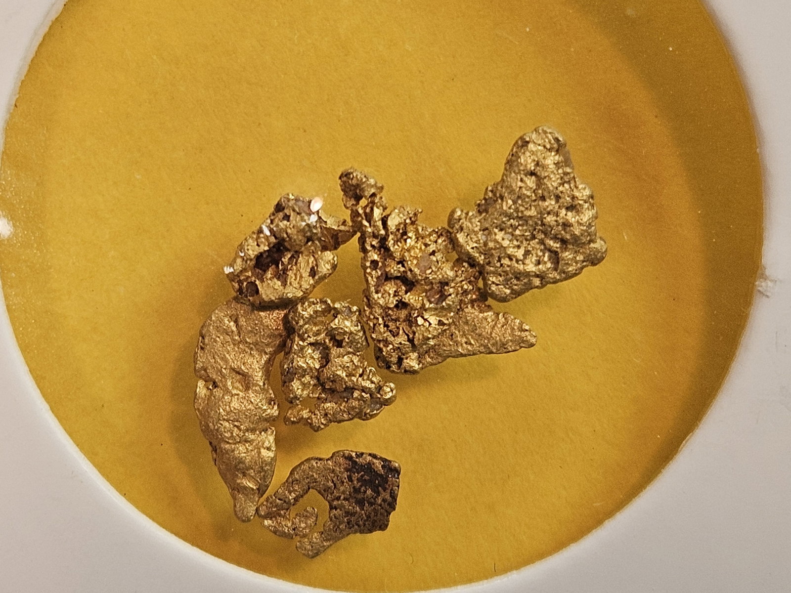 GOLD NUGGETS!: Gold Nuggets from California! Six nuggets. Total weight is .53 grams