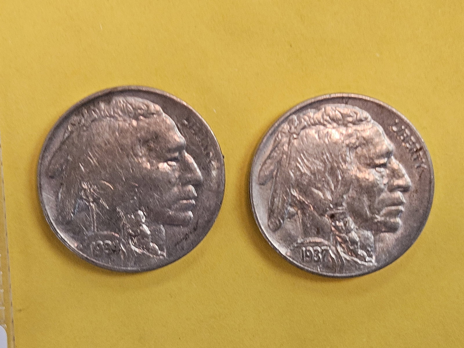 Two Choice Brilliant Uncirculated Buffalo Nickels - 3