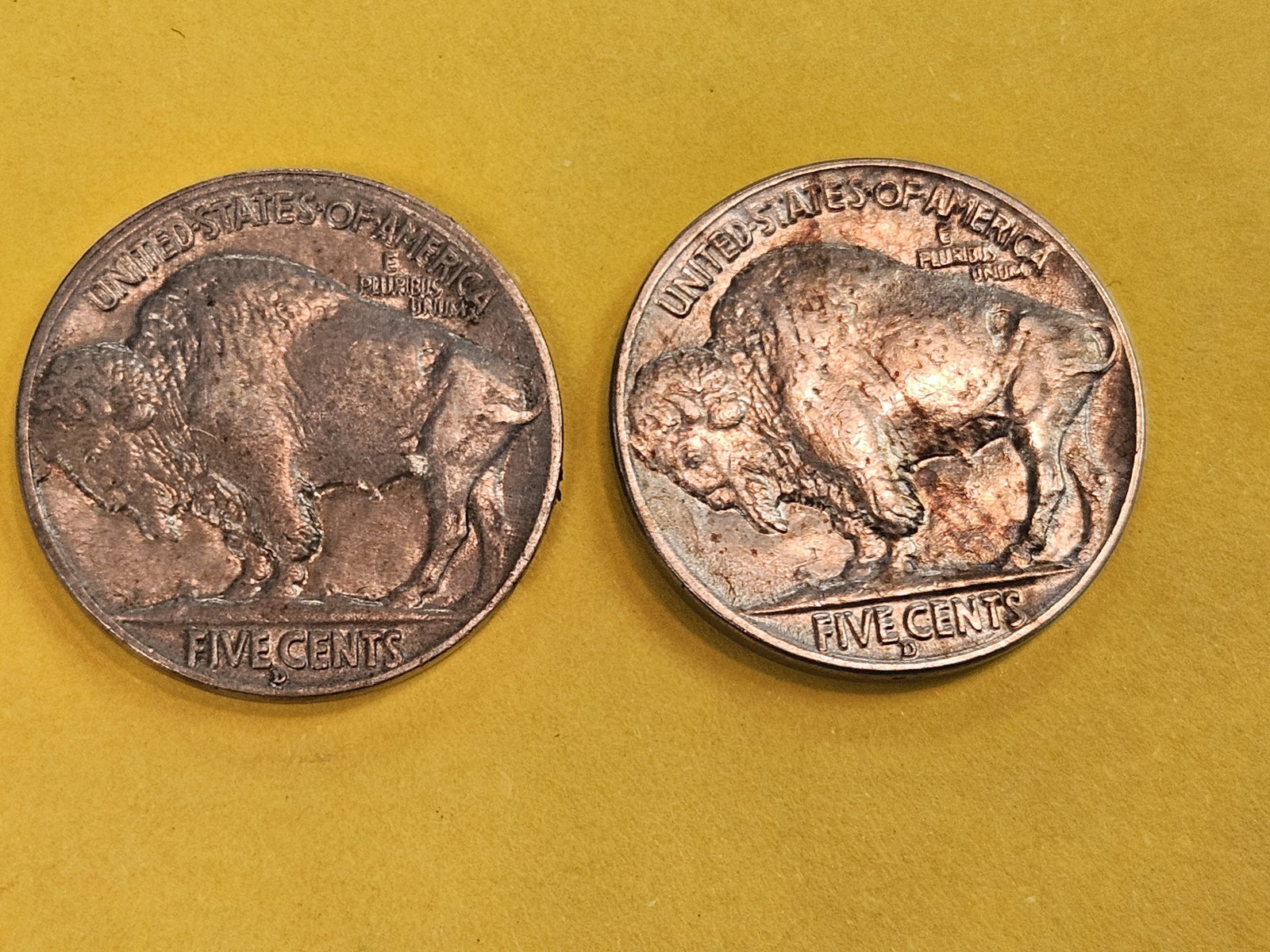 Two Choice Brilliant Uncirculated Buffalo Nickels - 4