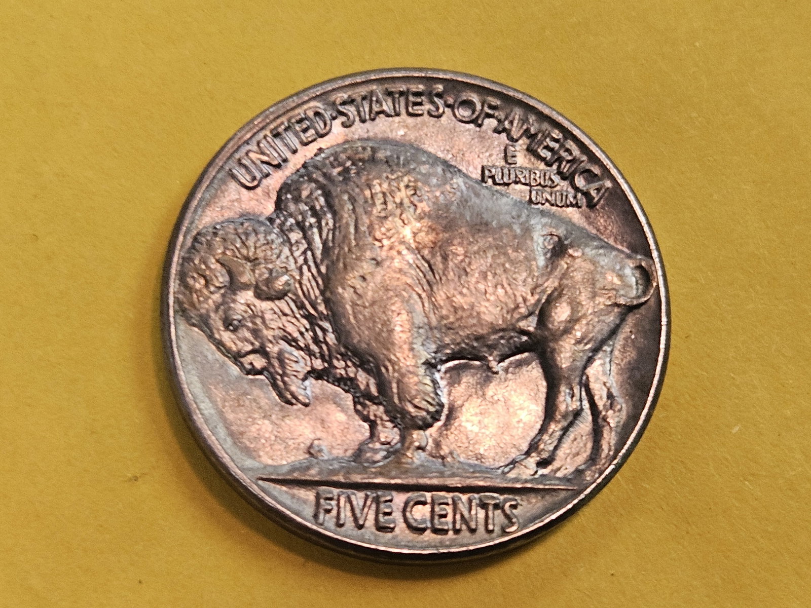 GEM Brilliant Uncirculated 1937 Buffalo Nickel - 4