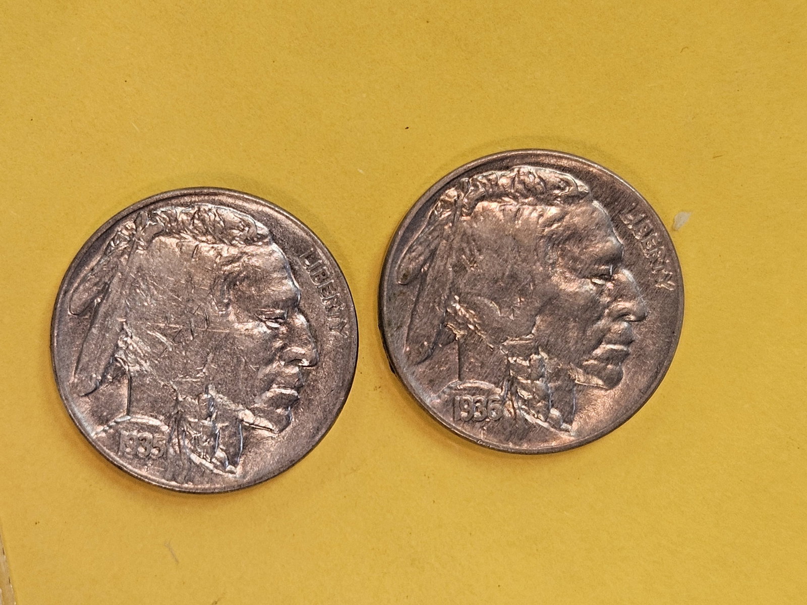 Two Choice Brilliant Uncirculated PLus Buffalo Nickels - 4